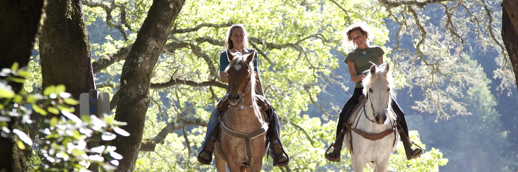 Papillon Riding Stable
