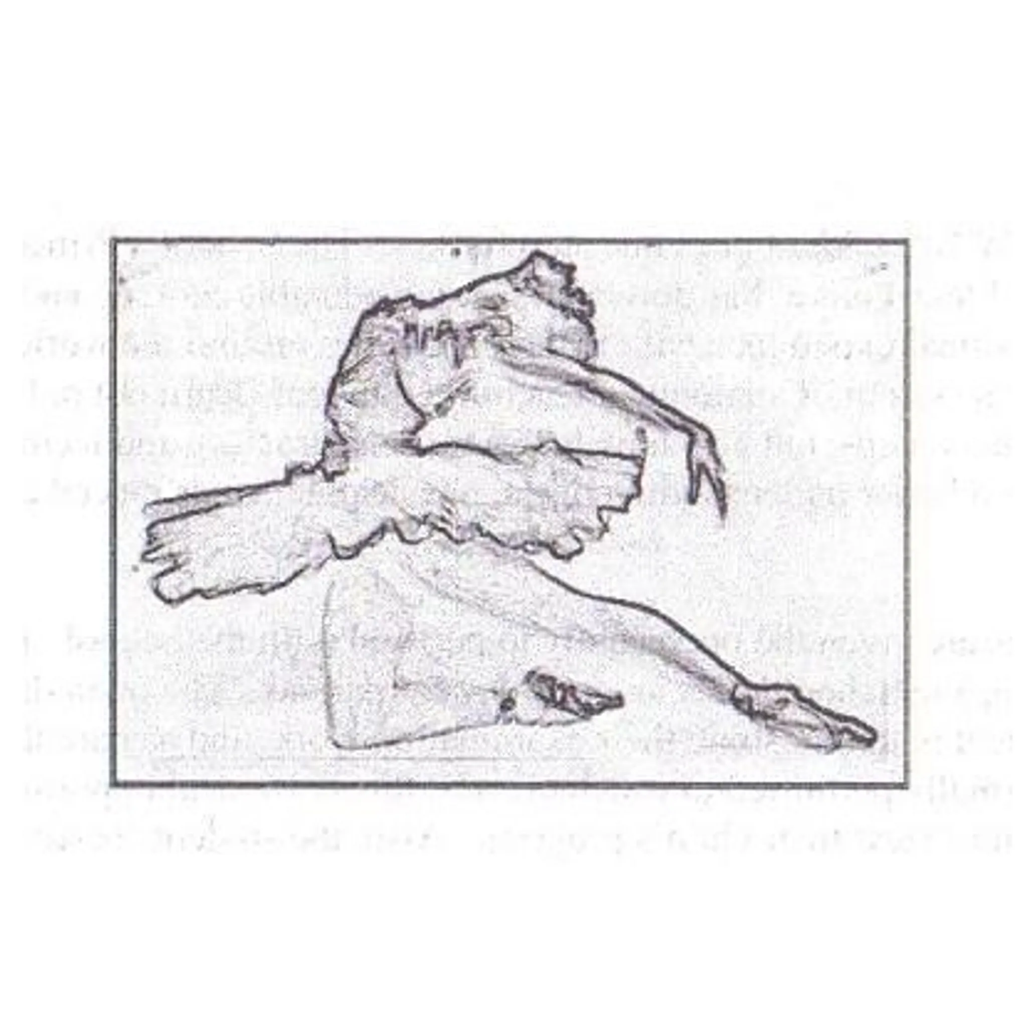 The NSW Ballet School