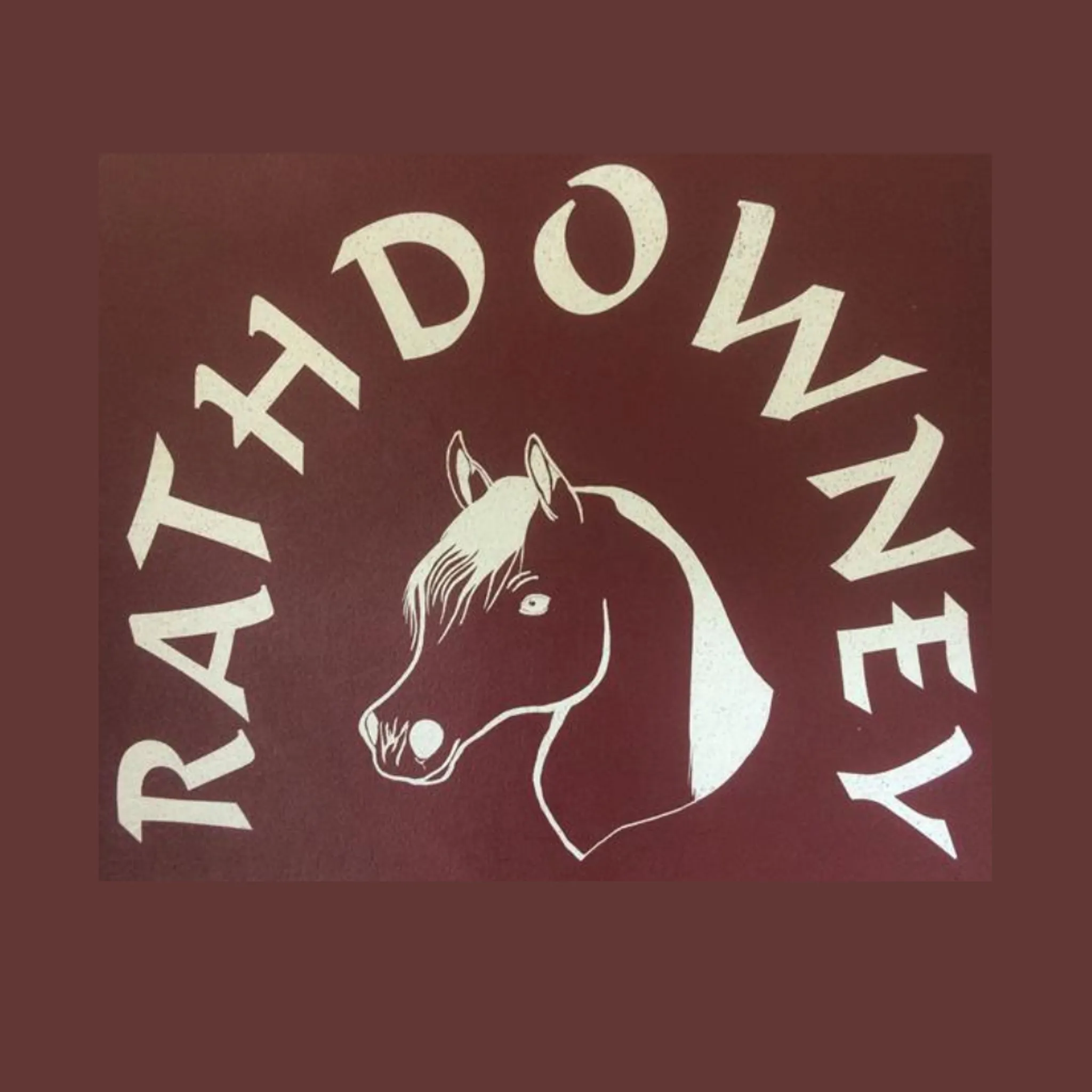 Rathdowney and District Pony Club
