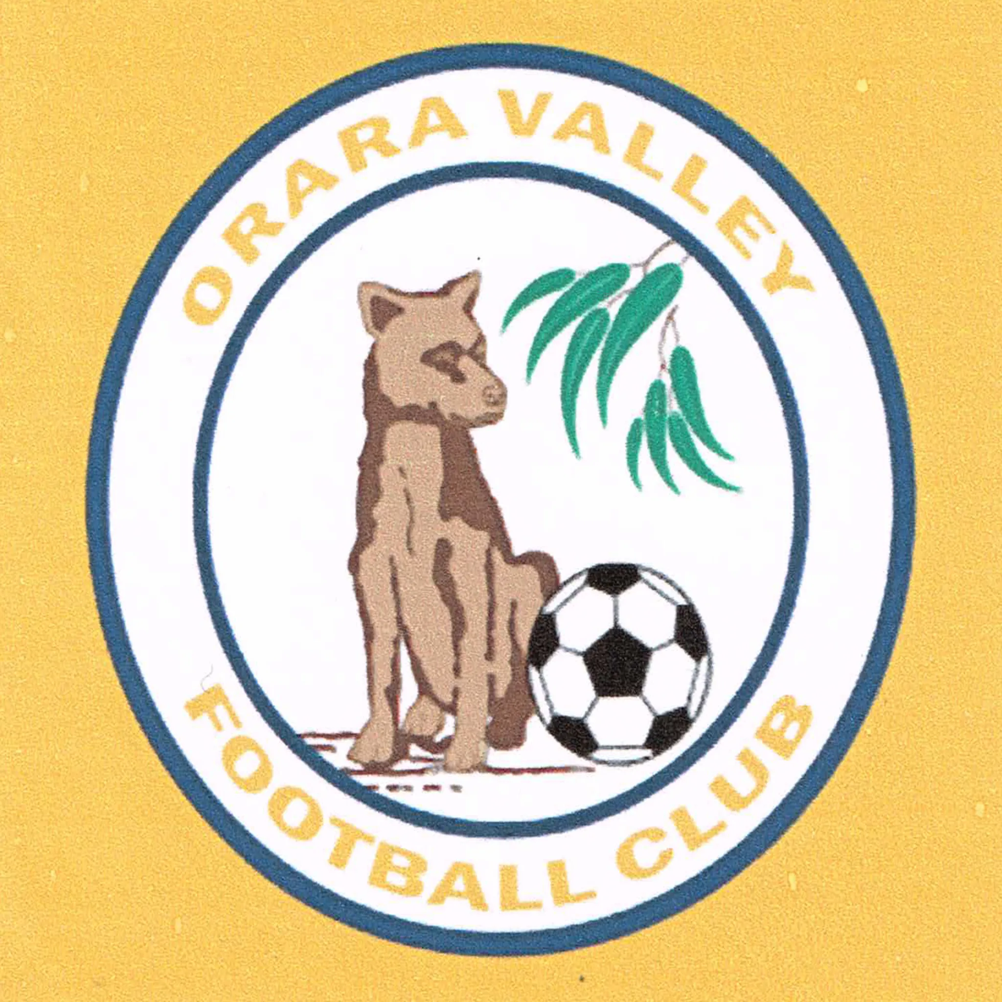 Orara Valley FC