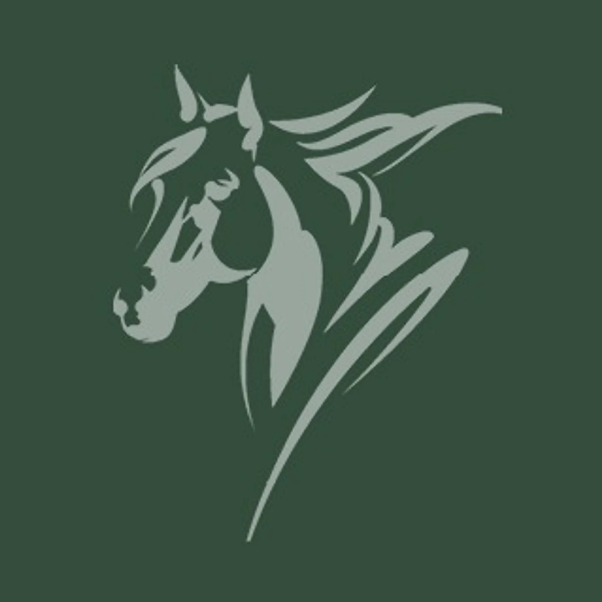 Gympie & District Pony Club