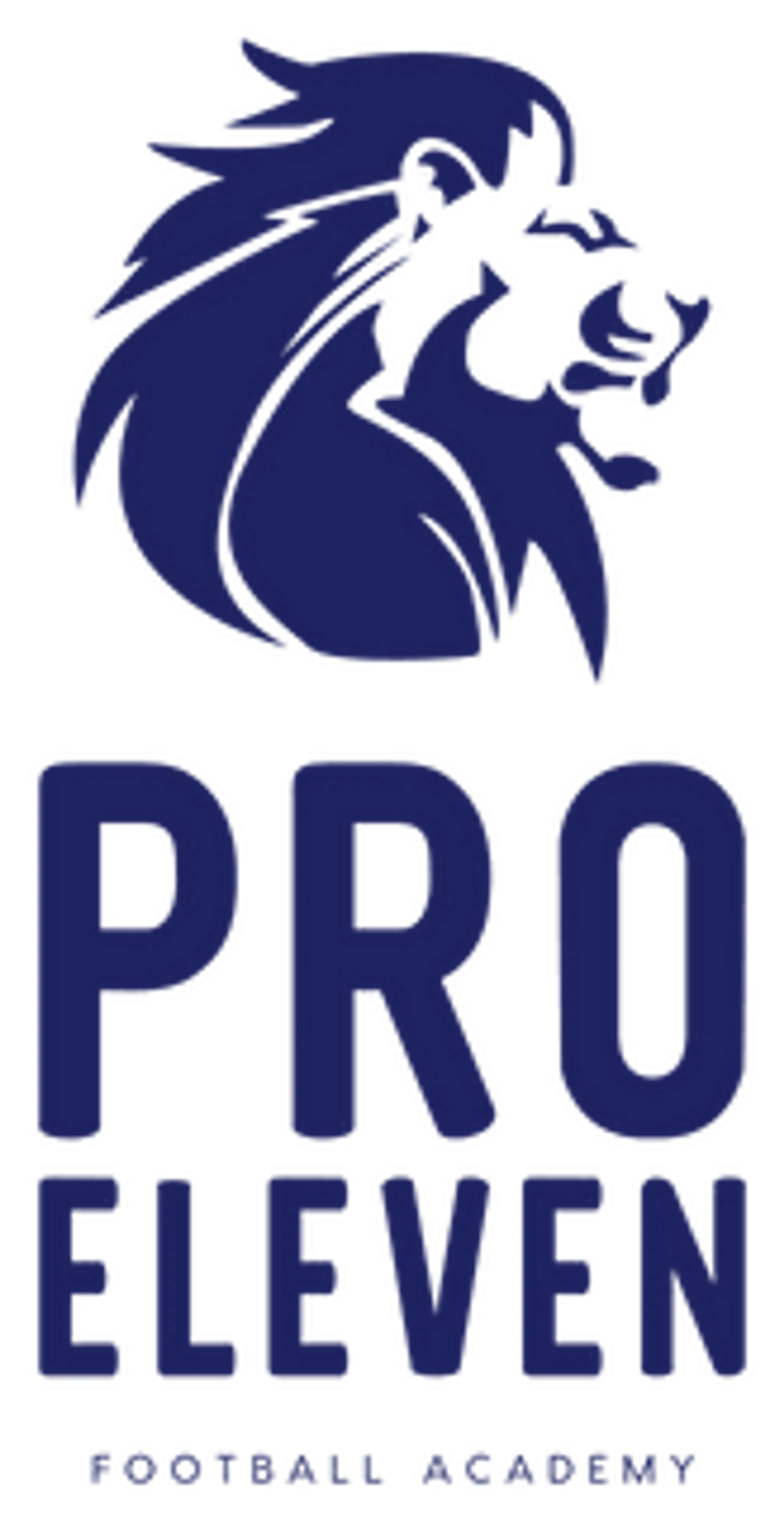 Pro Eleven Football Academy