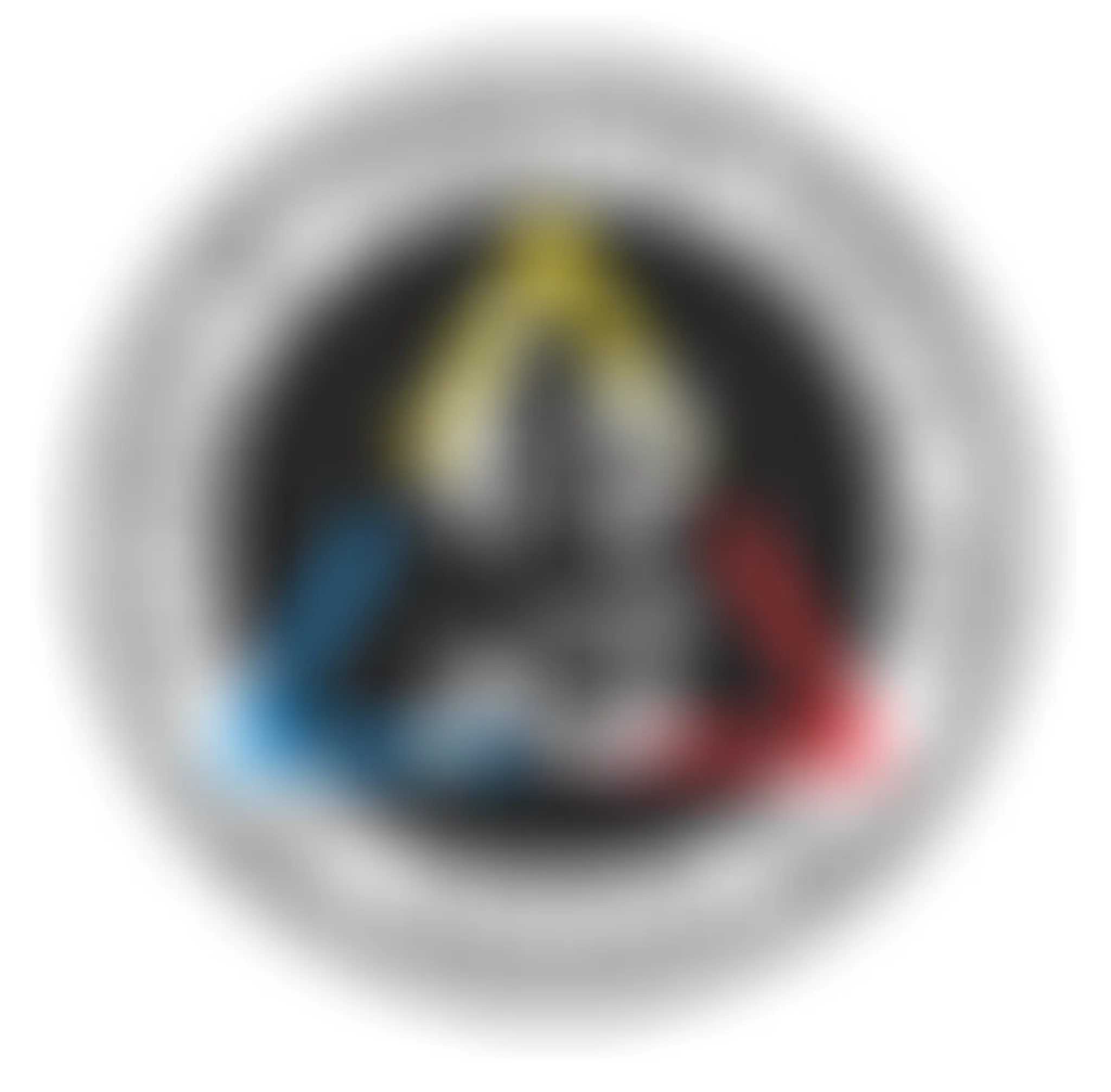 The Academy of Combative Martial Arts