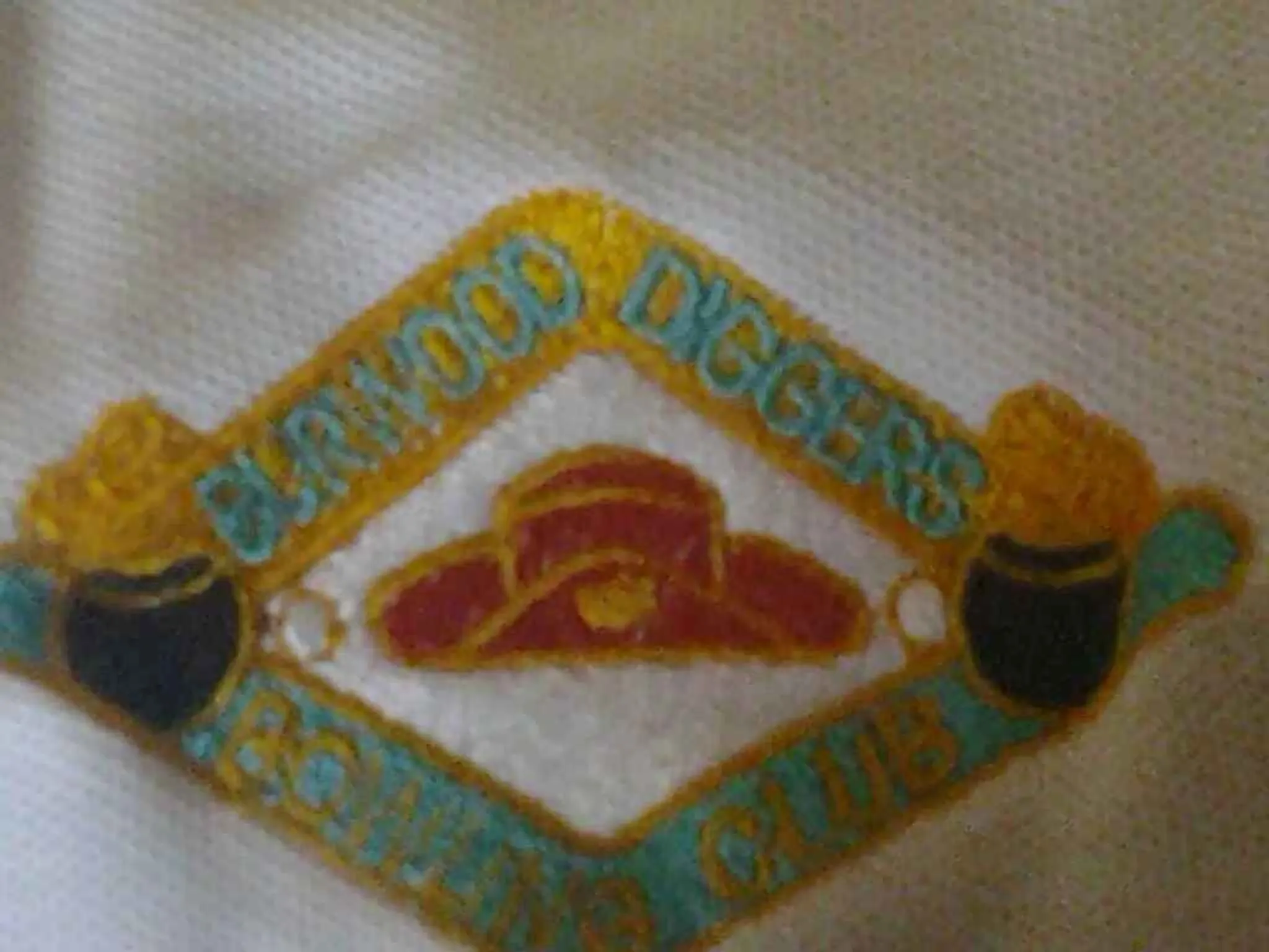 Burwood Diggers Bowling Club