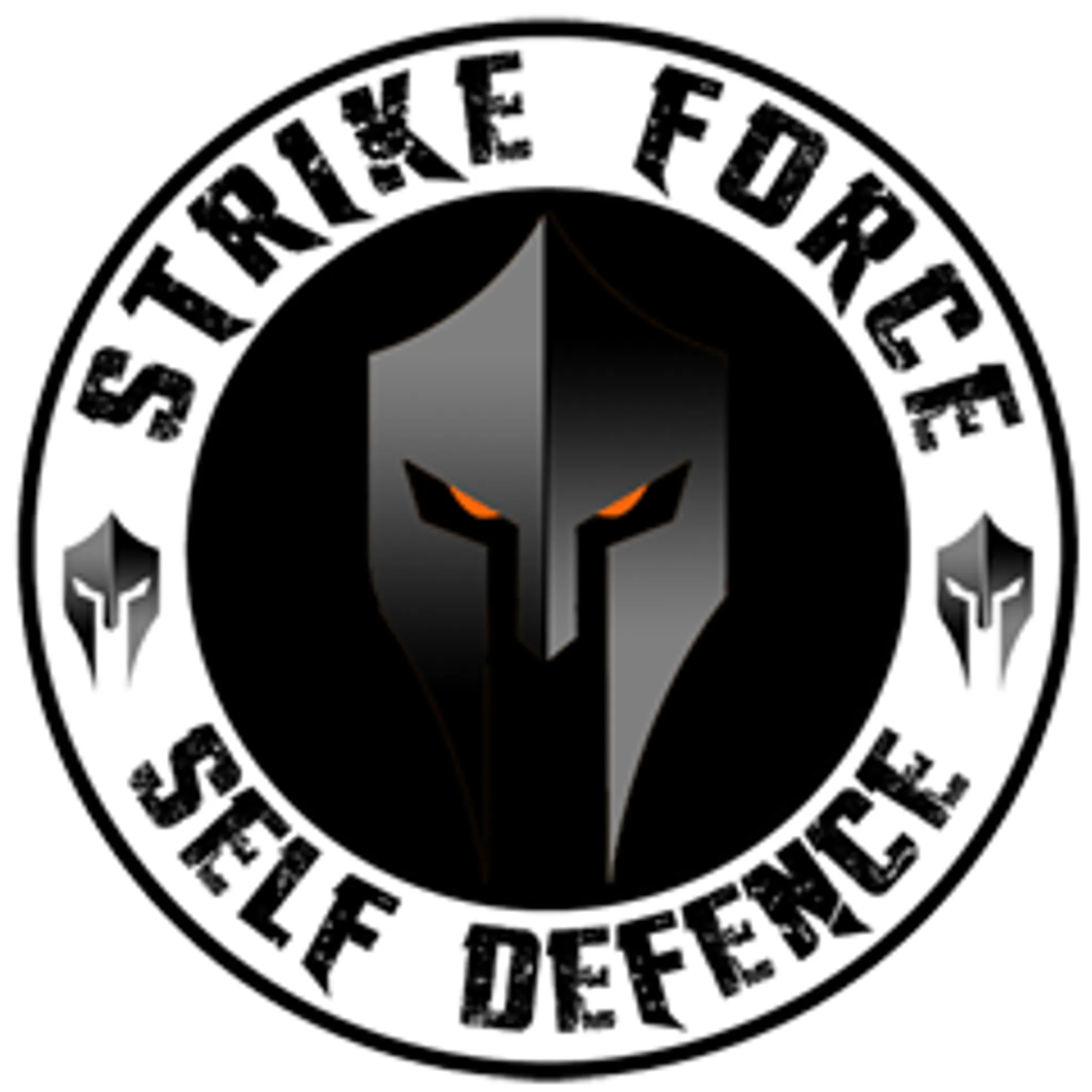 Strike Force Self Defence
