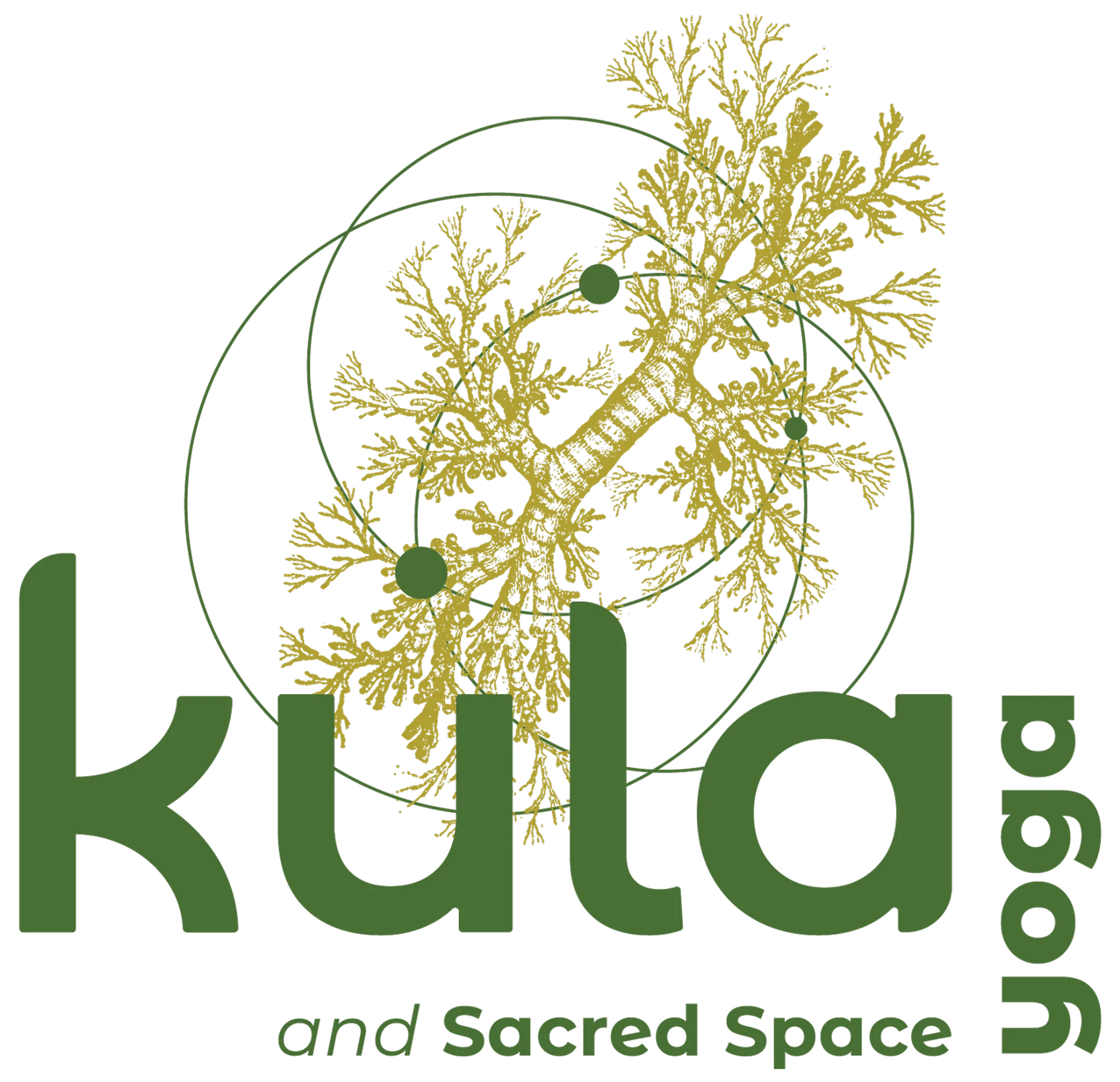 The Bellwether Curated Home & Kula Yoga and Sacred Space