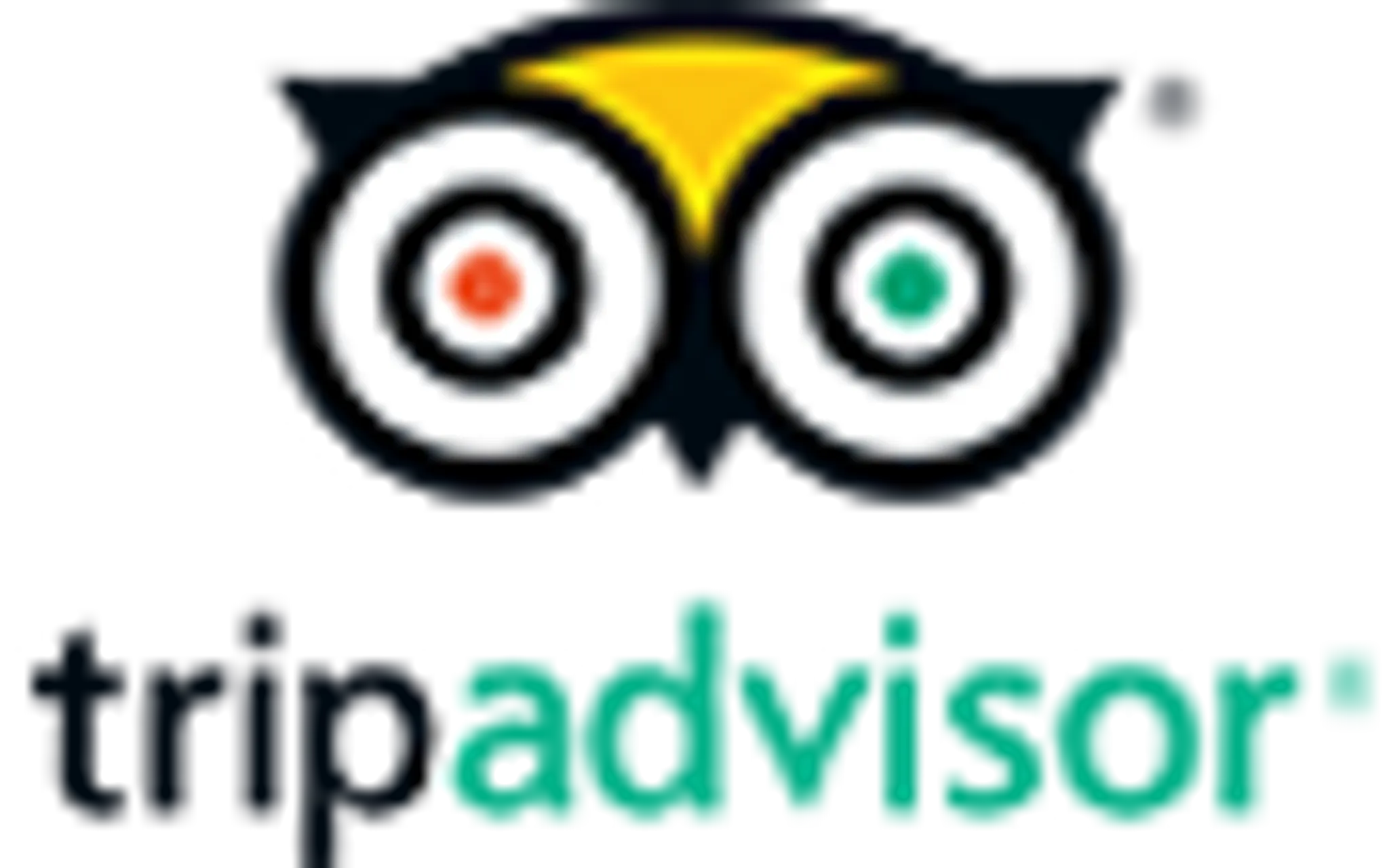 Port Fairy Surf School