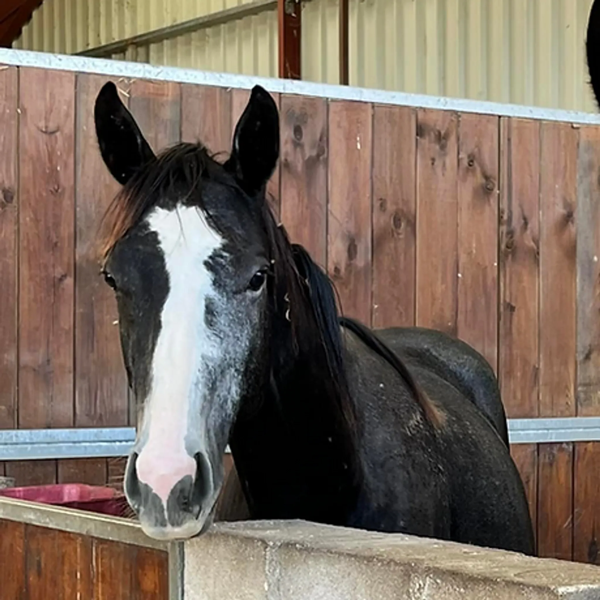 Ecurie Du Clos Saint Georges