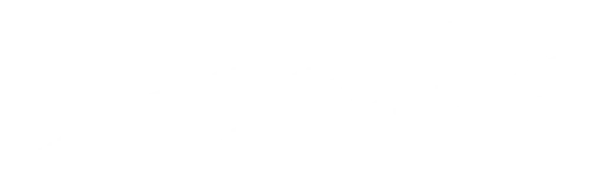 Ferrycarrig Active Club