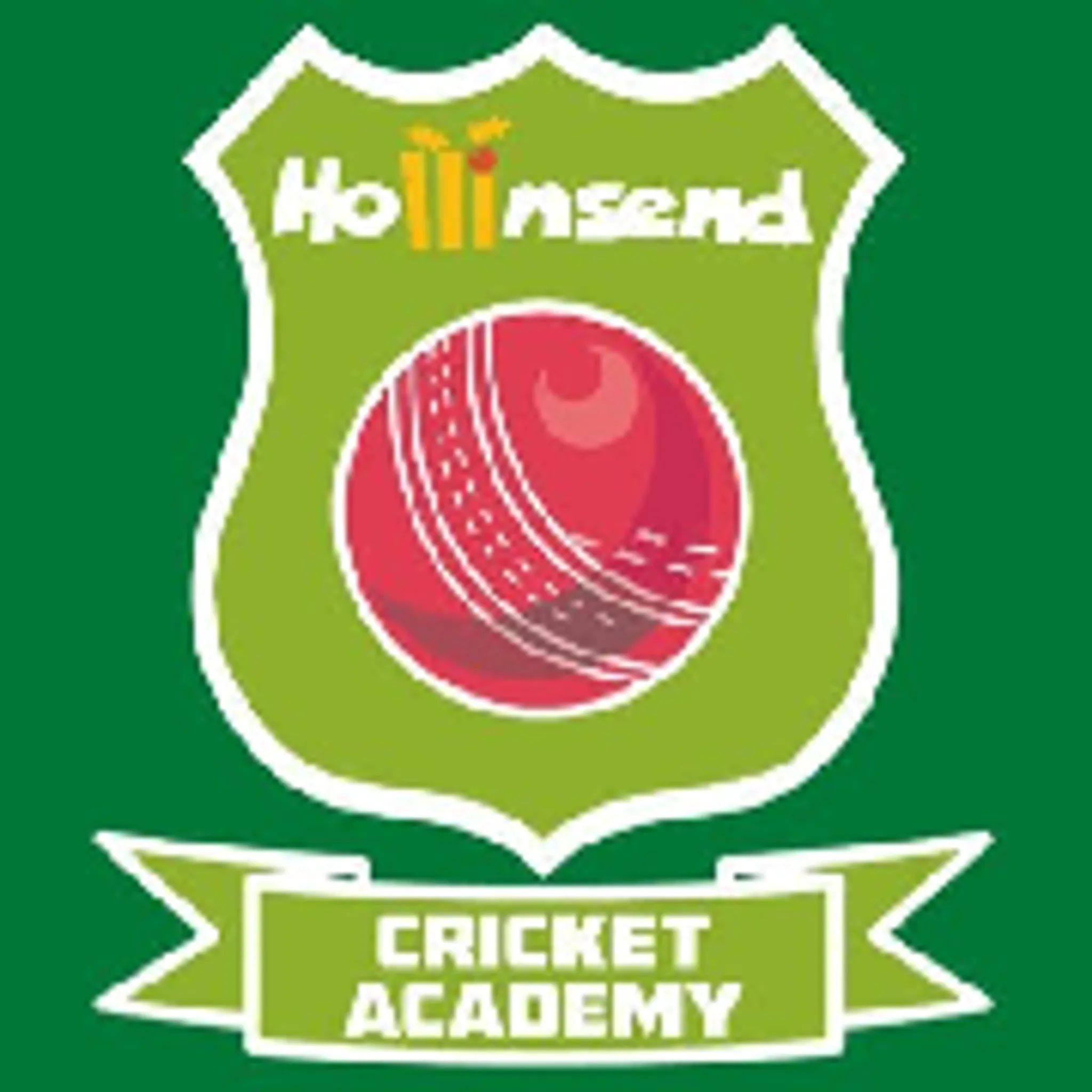 Hollinsend Methodist Cricket Club