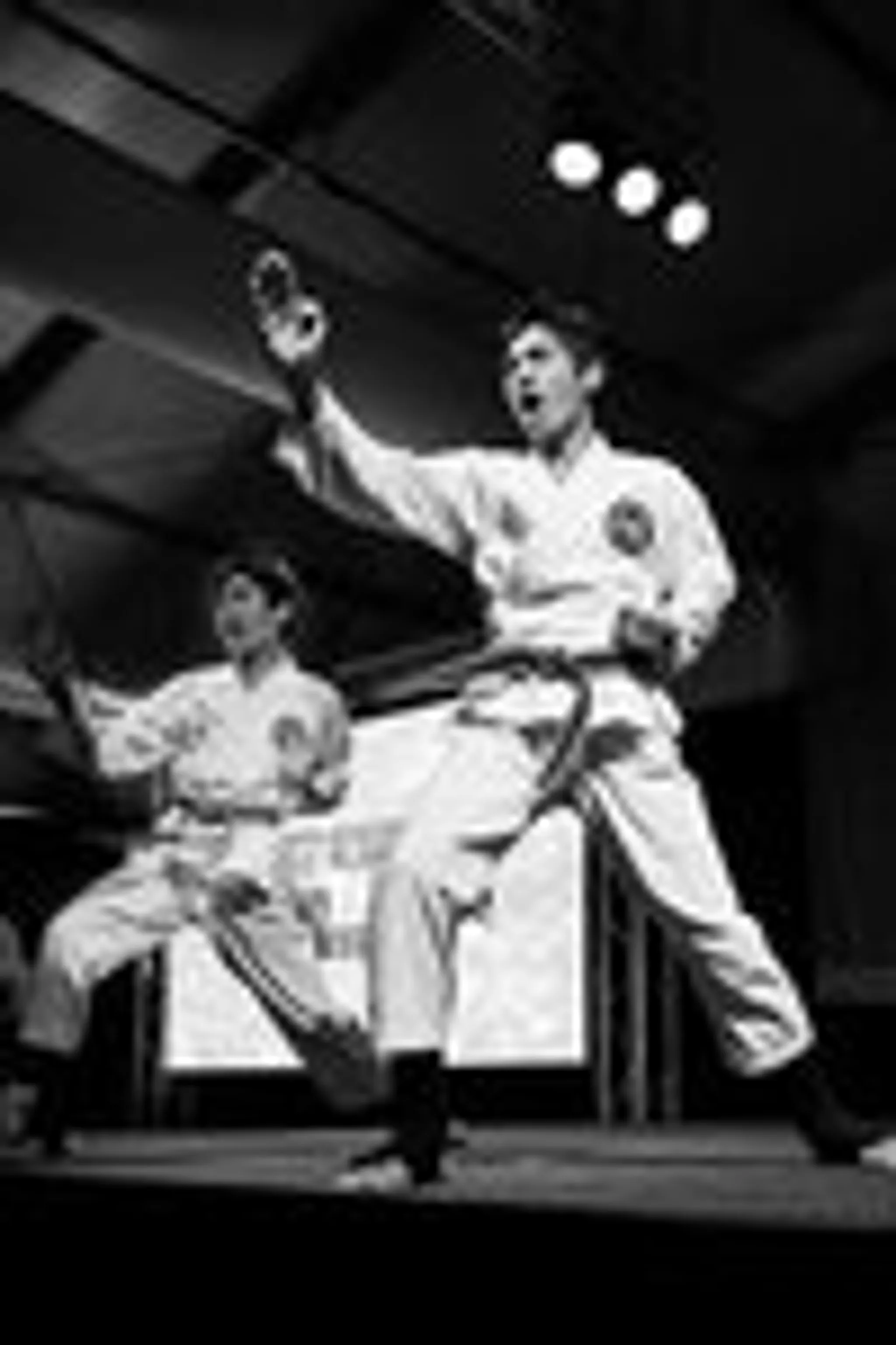 N.T Tang Soo Do Karate Academy