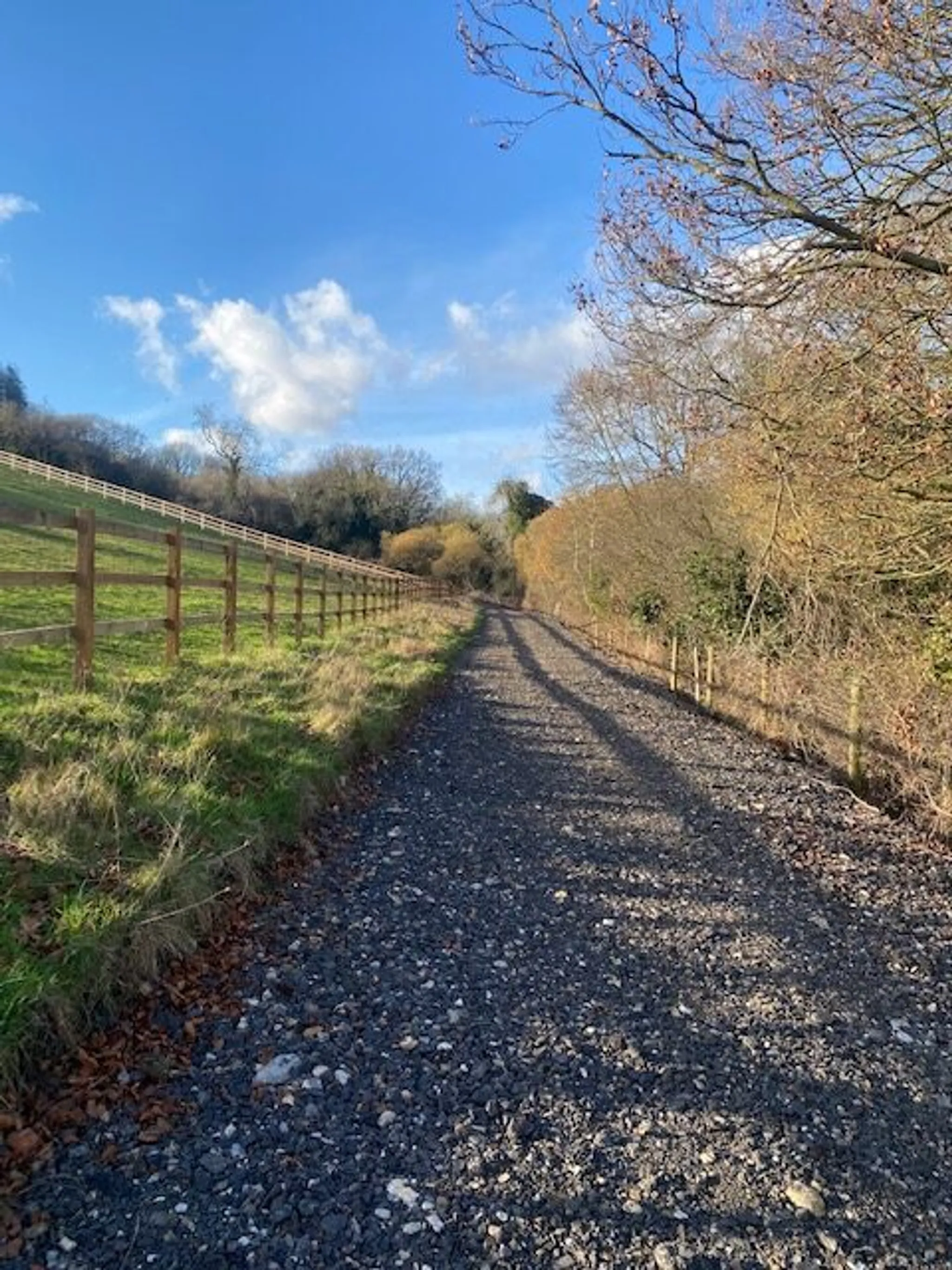 Walx - Thames Valley