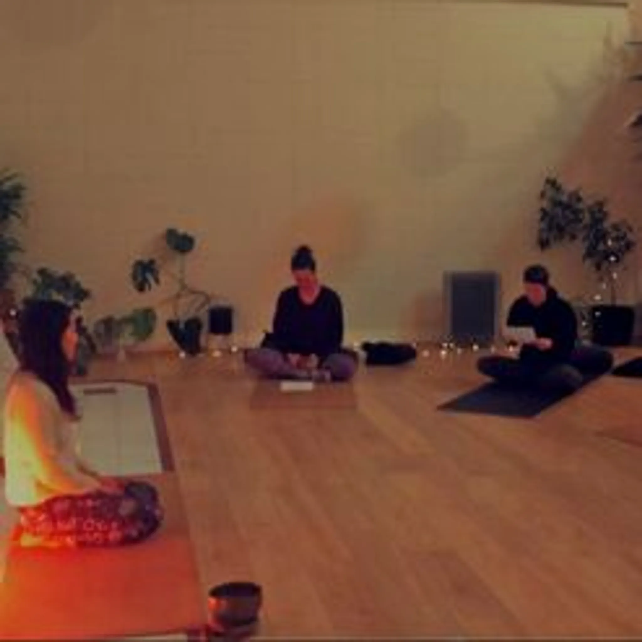 Manami Komai - Naturopath, Herbalist, Massage Therapist and Yoga Instructor