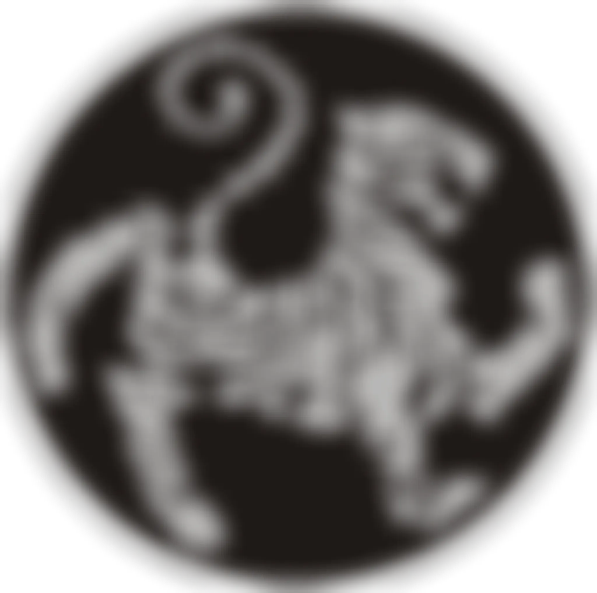 Shugoki Karate Academy