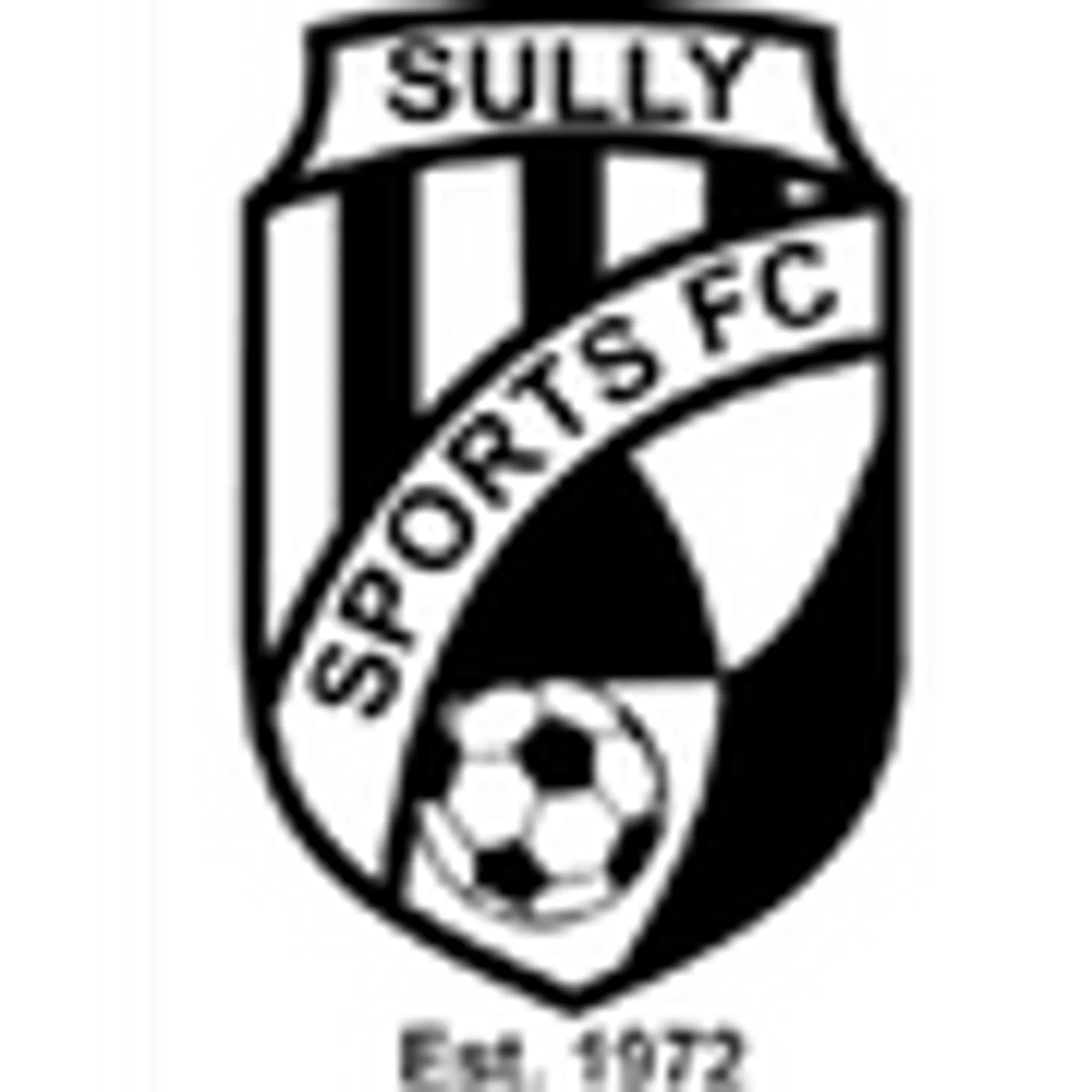 Sully Sports FC