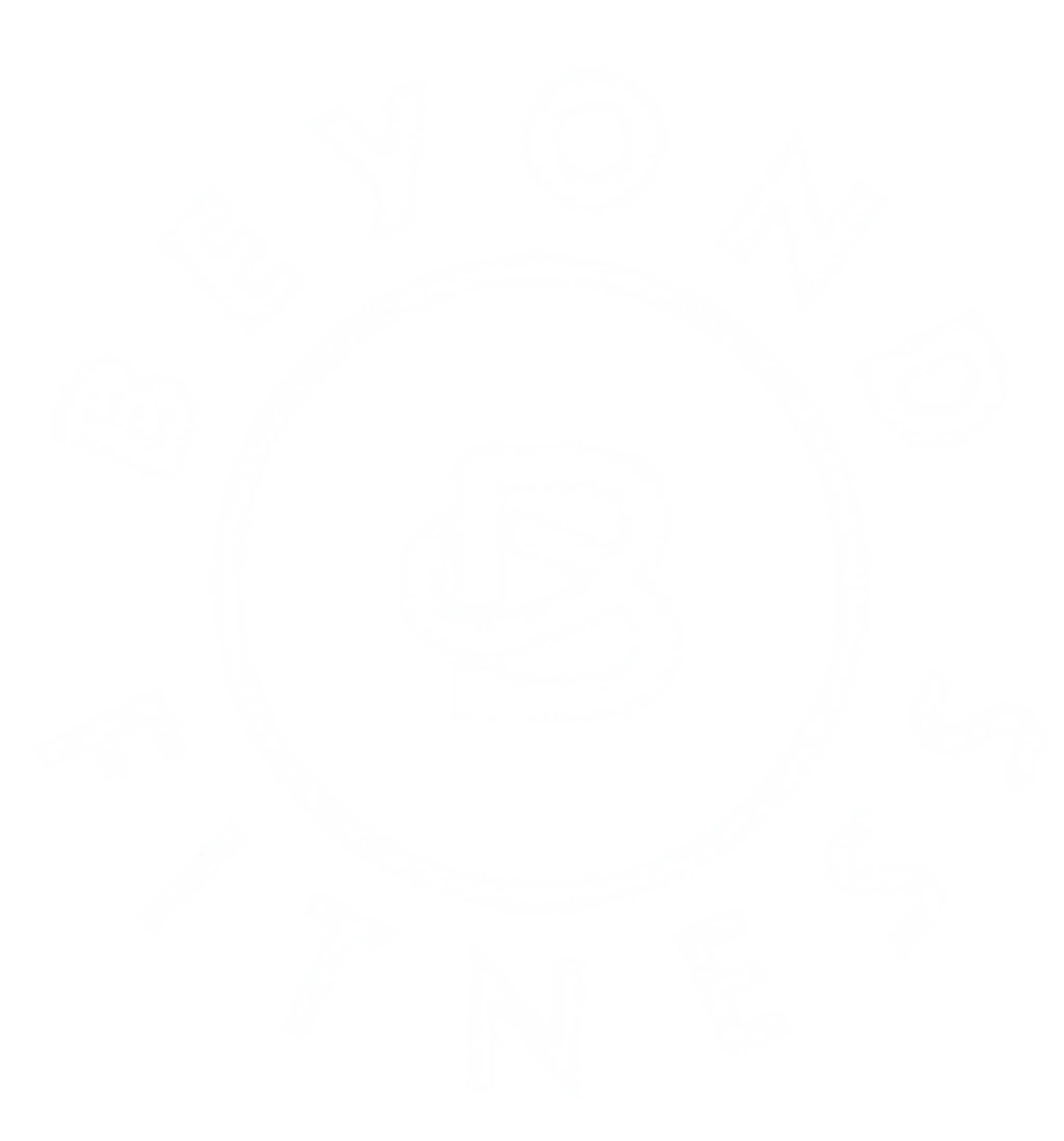 Beyond Fitness