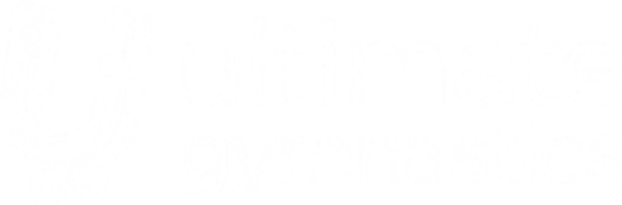 Ultimate Gymnastics