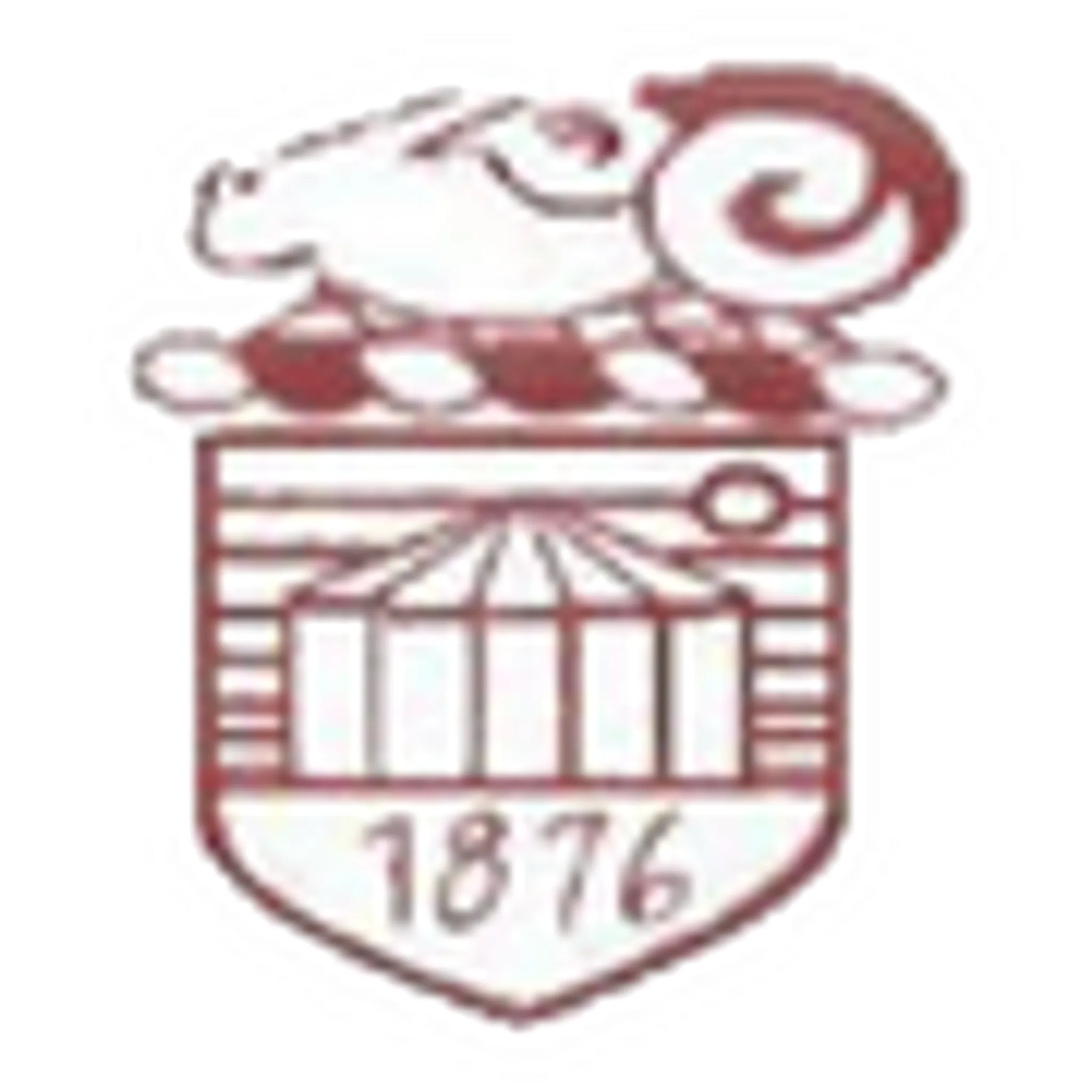 Stenhousemuir Cricket Club