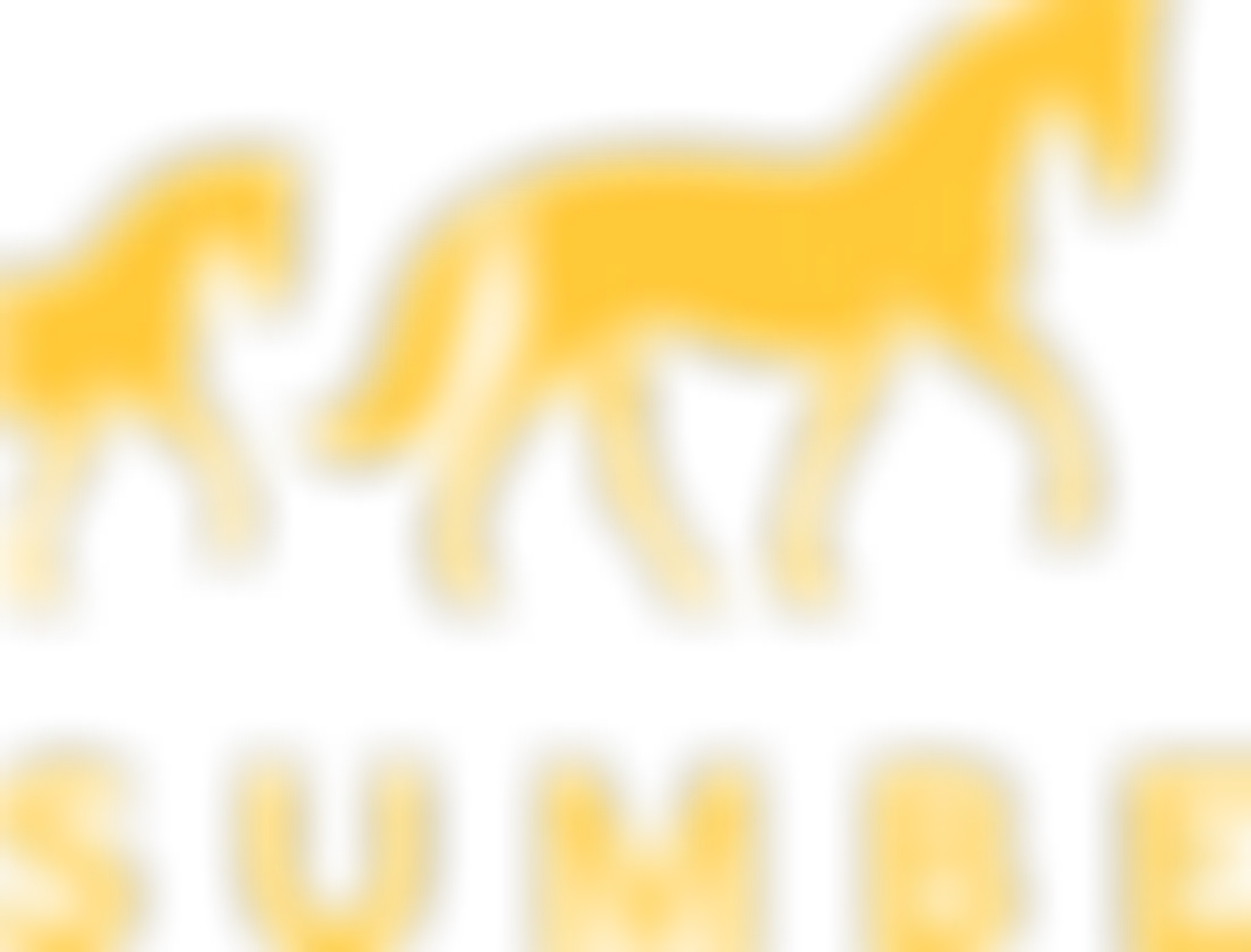 Stud Du Mezeray - Sumbe