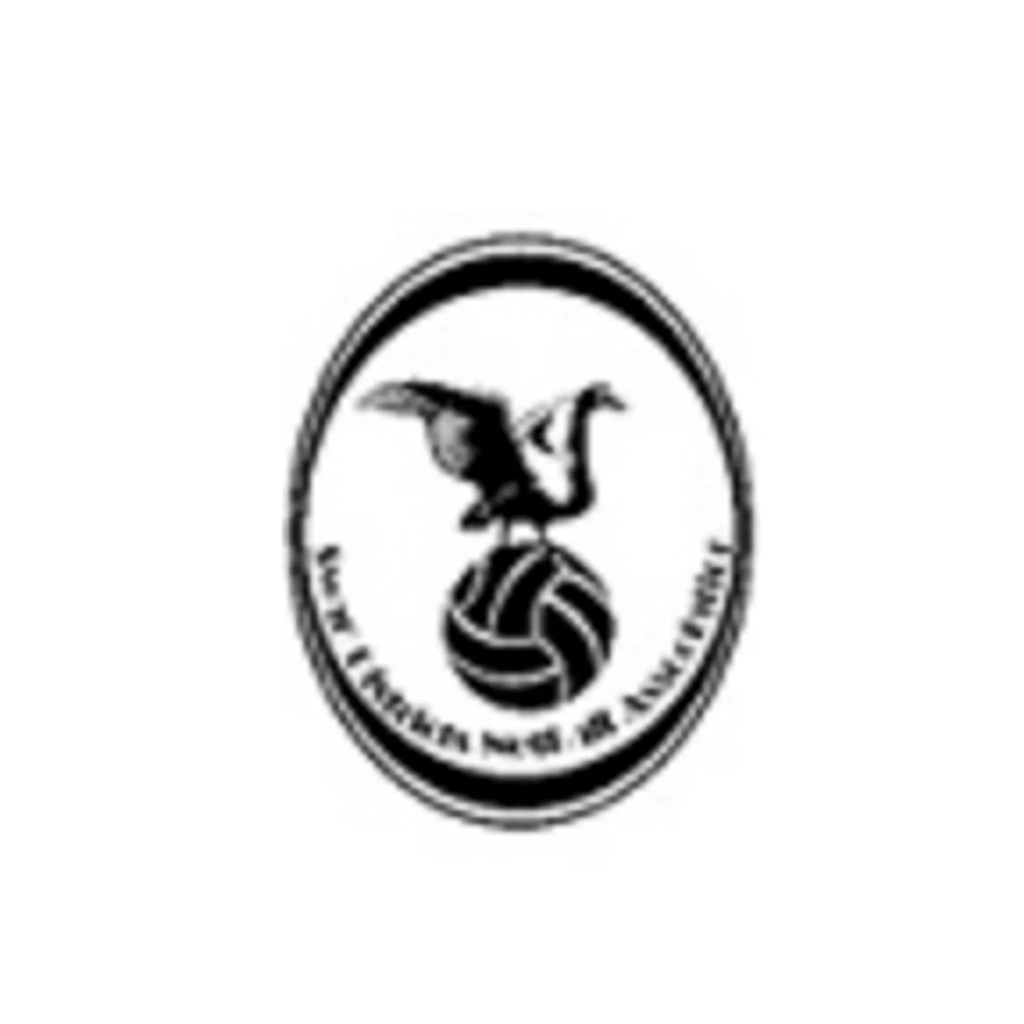 Swan Districts Netball Association