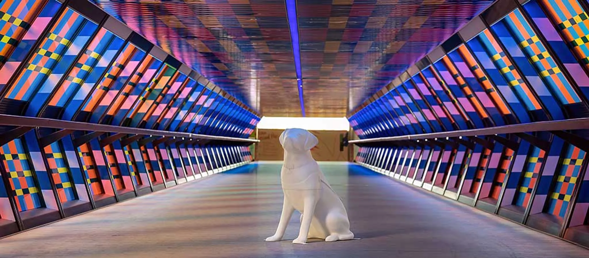 Padel Tennis at Padium Padium