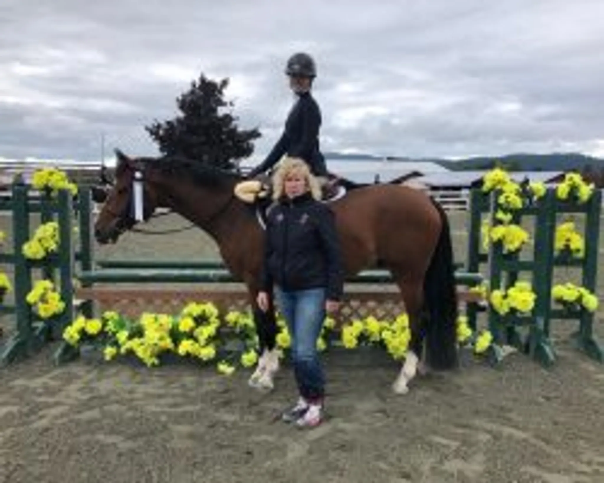 Ross Equestrian Services