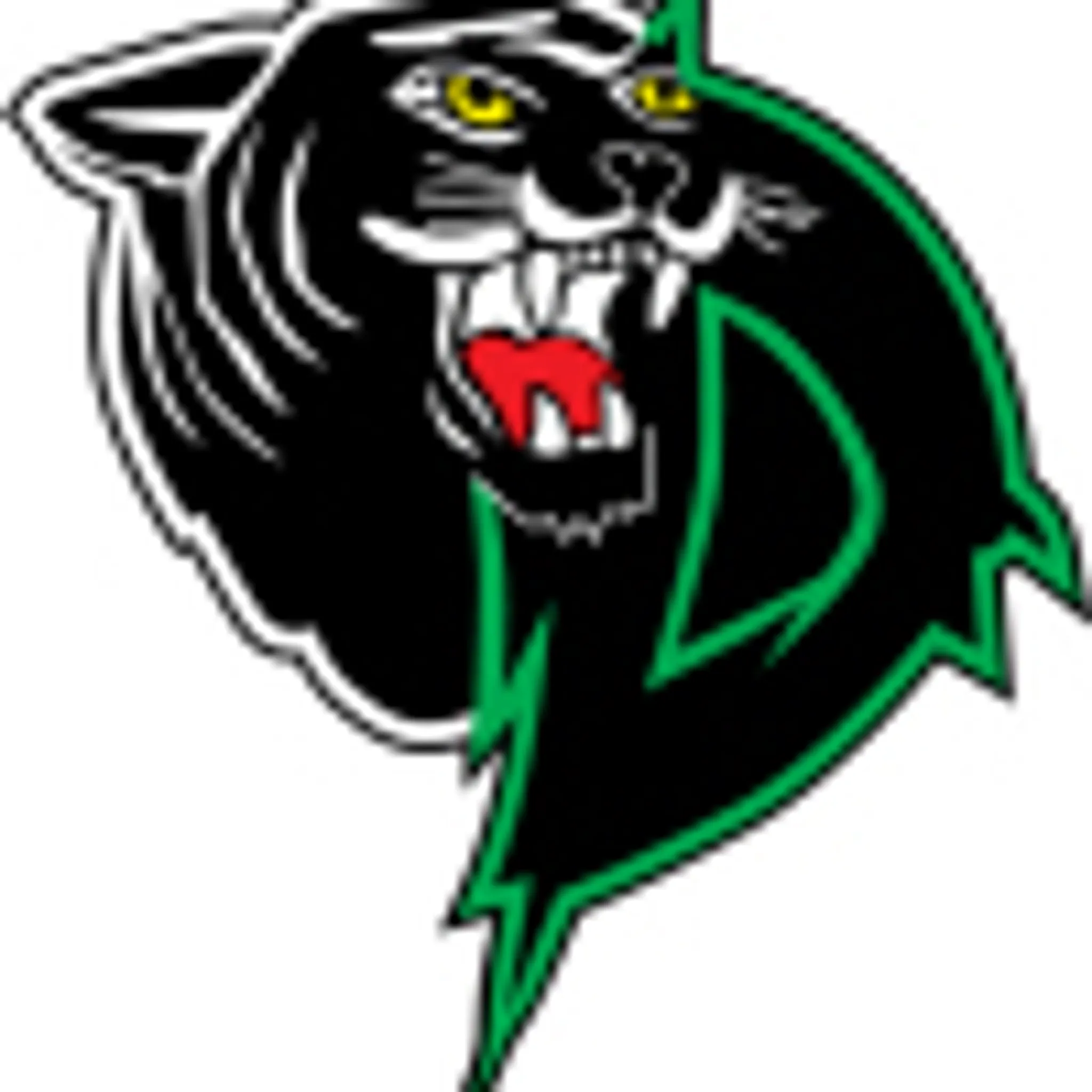 Doncaster Basketball Club