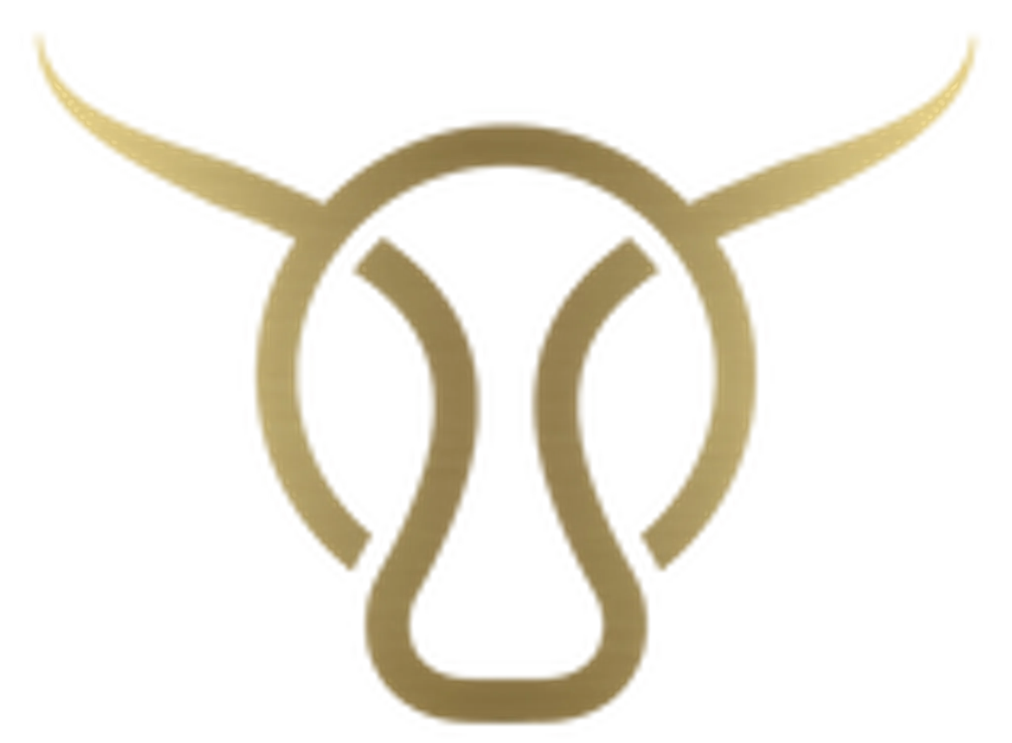 Greenbull Gaming Lounge And Cafe Private Limited