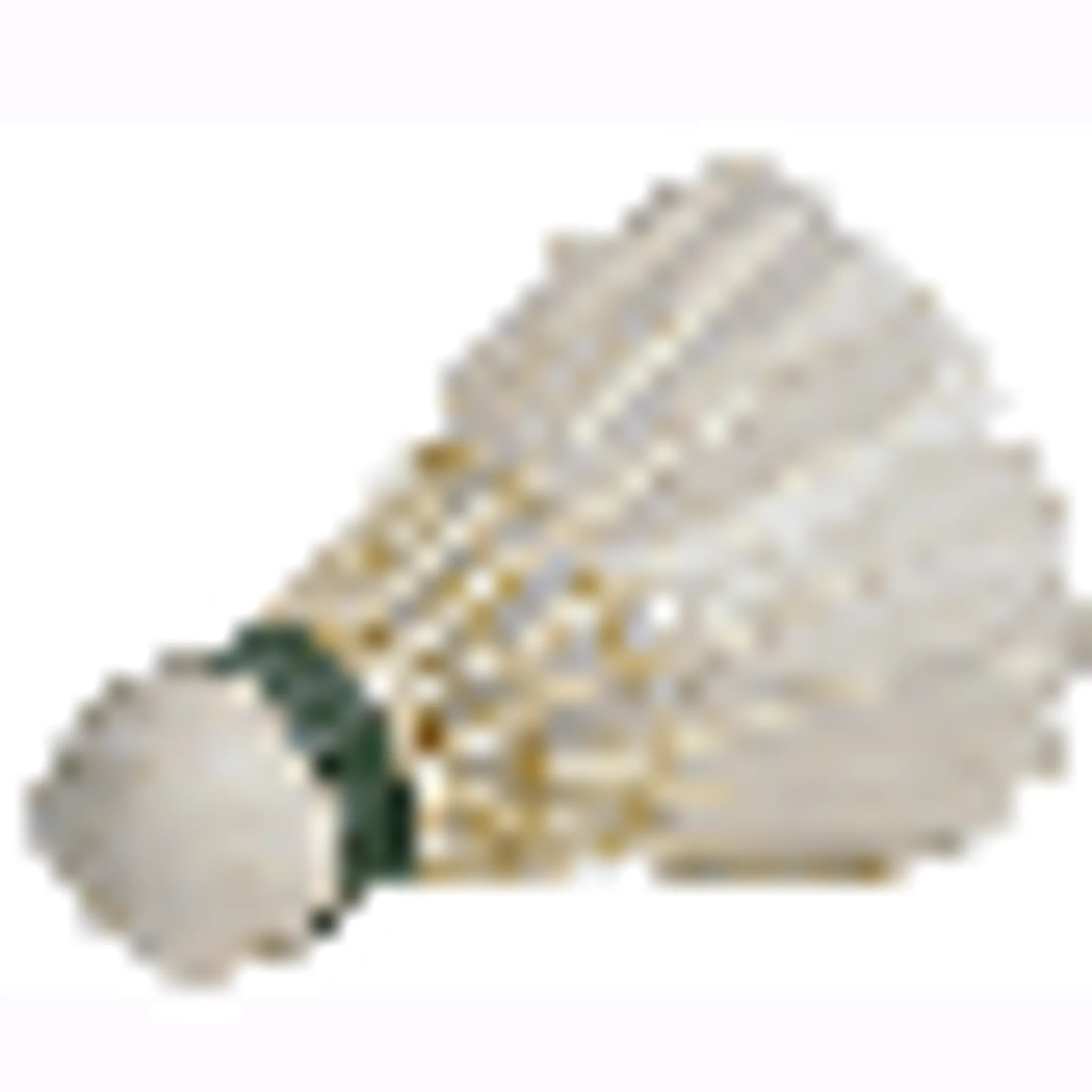 Frampton Cotterell Badminton Club