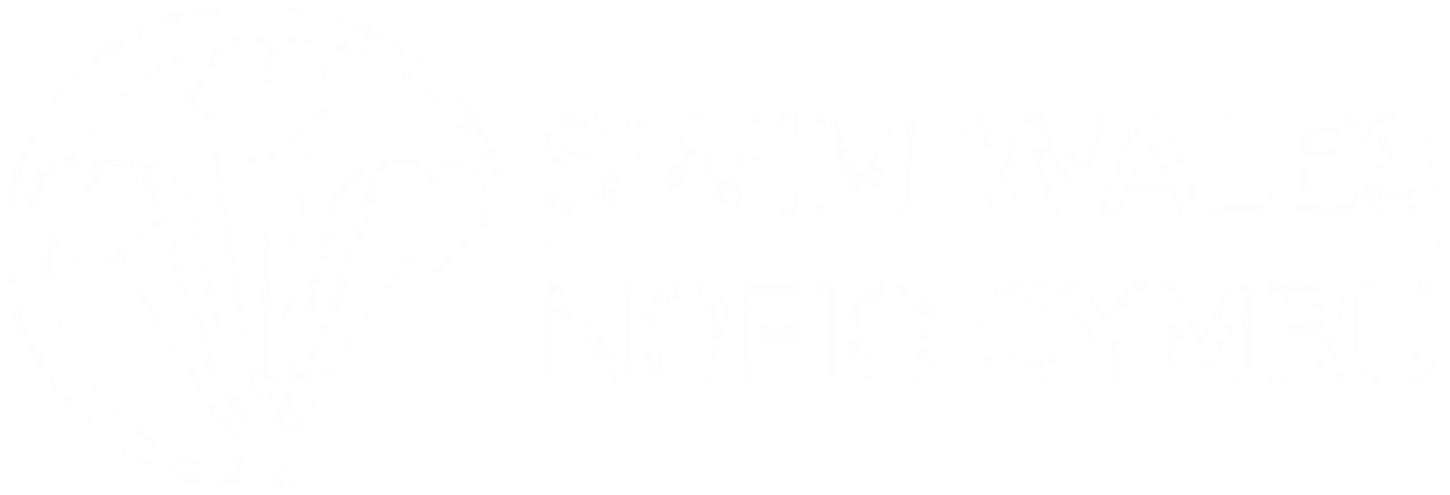 Swim Wales
