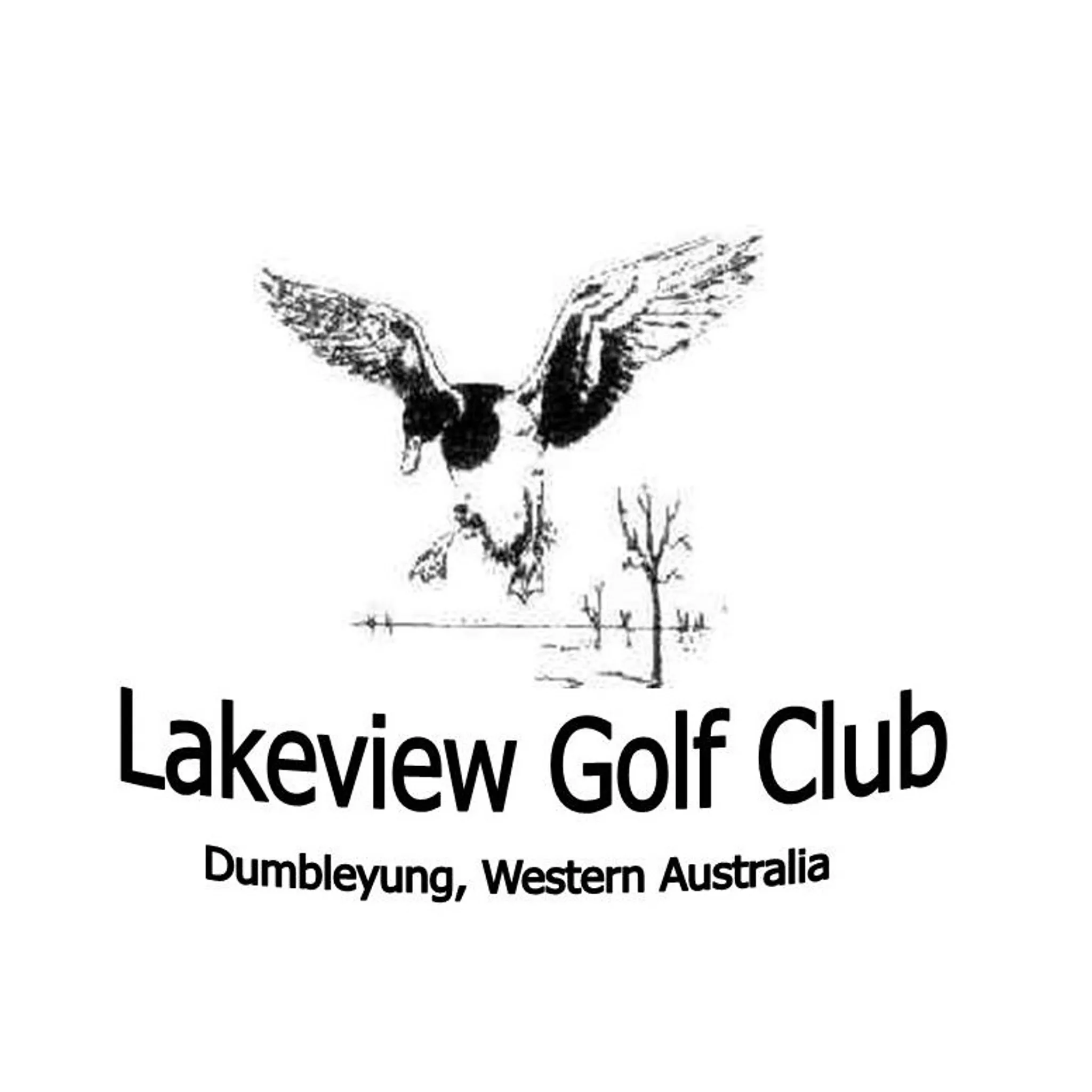 Lake View Golf Club