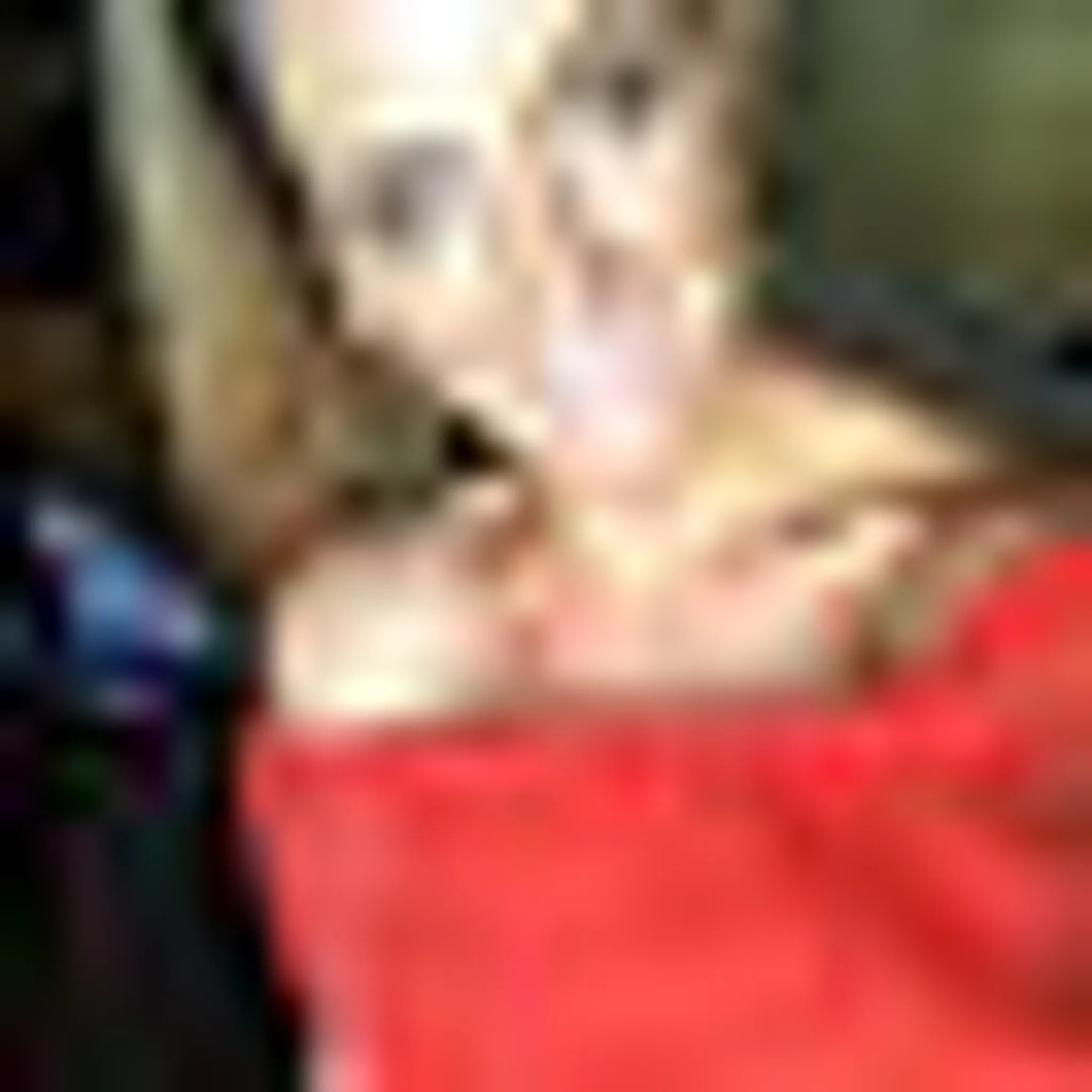 Hens/Wedding Day Yoga