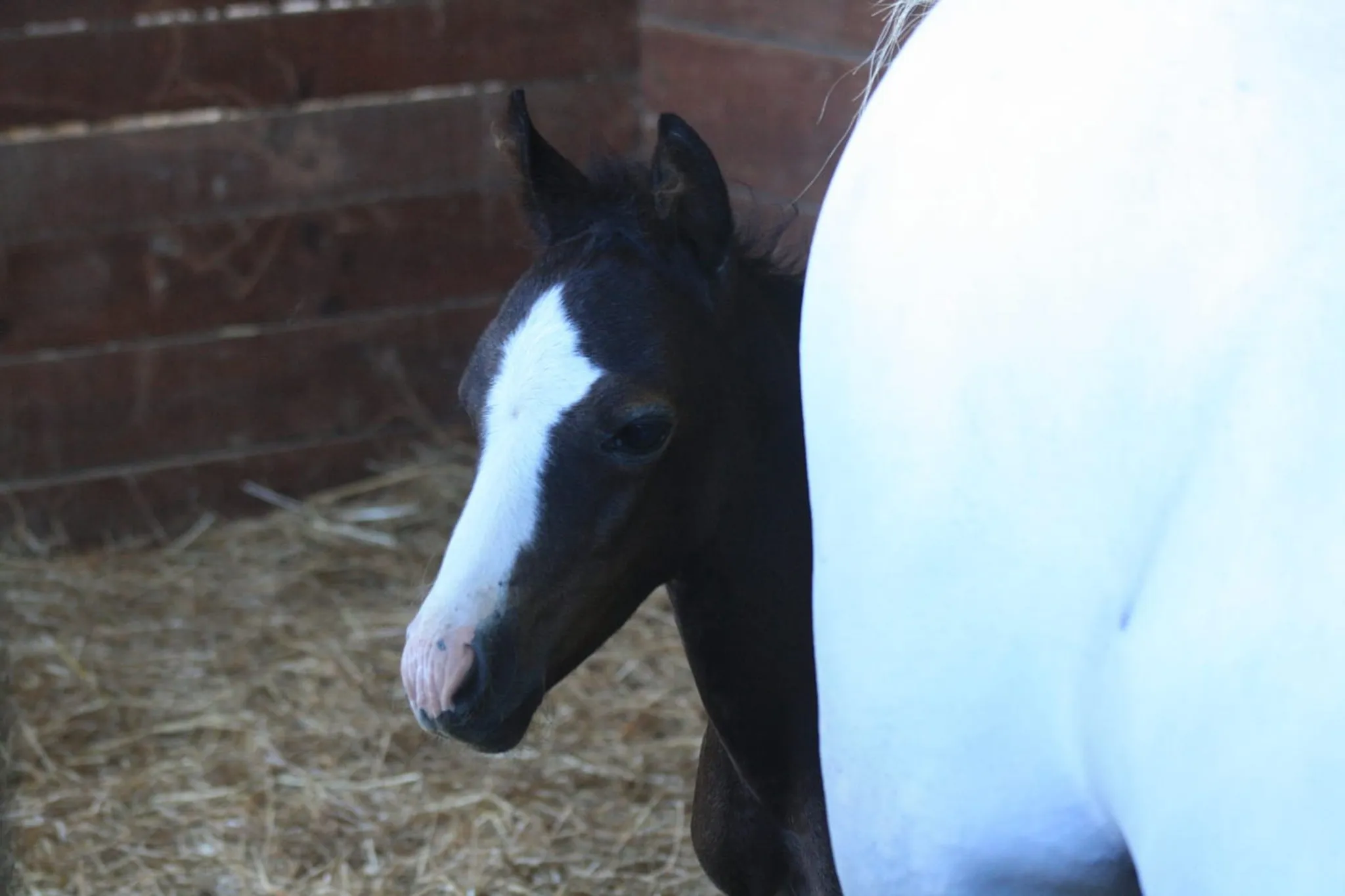 Colonie de vacances d’été