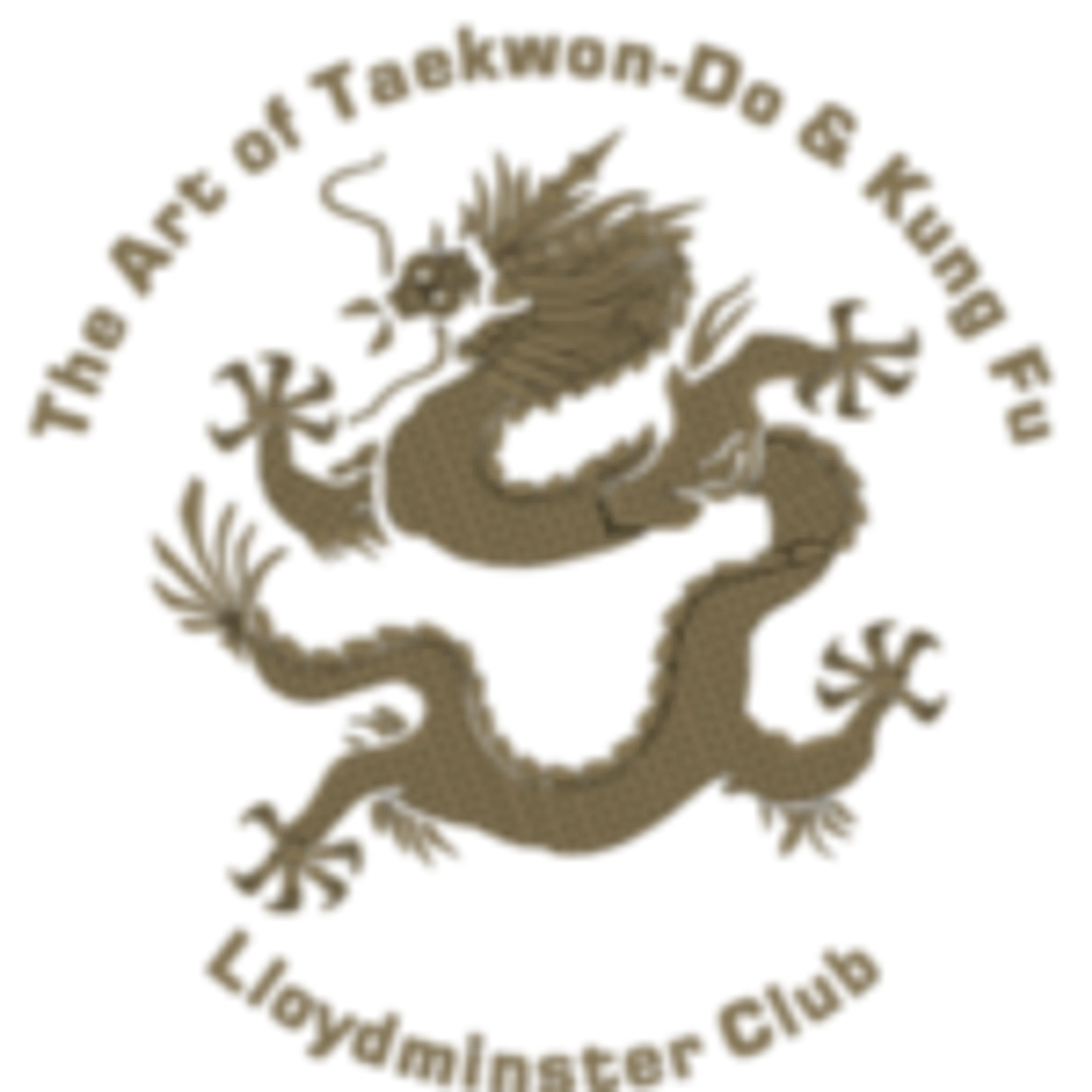 The Art Of Taekwon-Do Lloydminster Club
