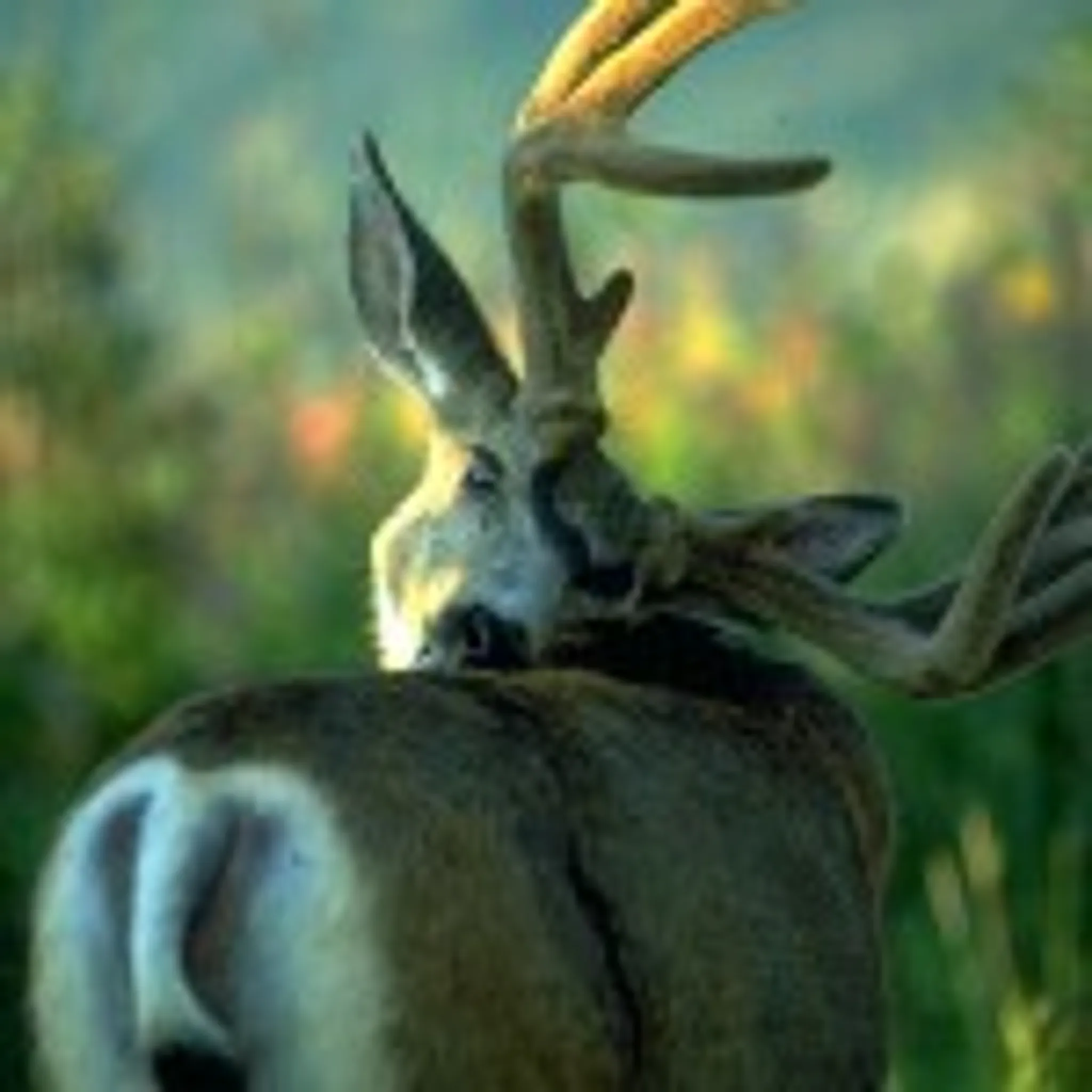 Outpost At Warden Rock