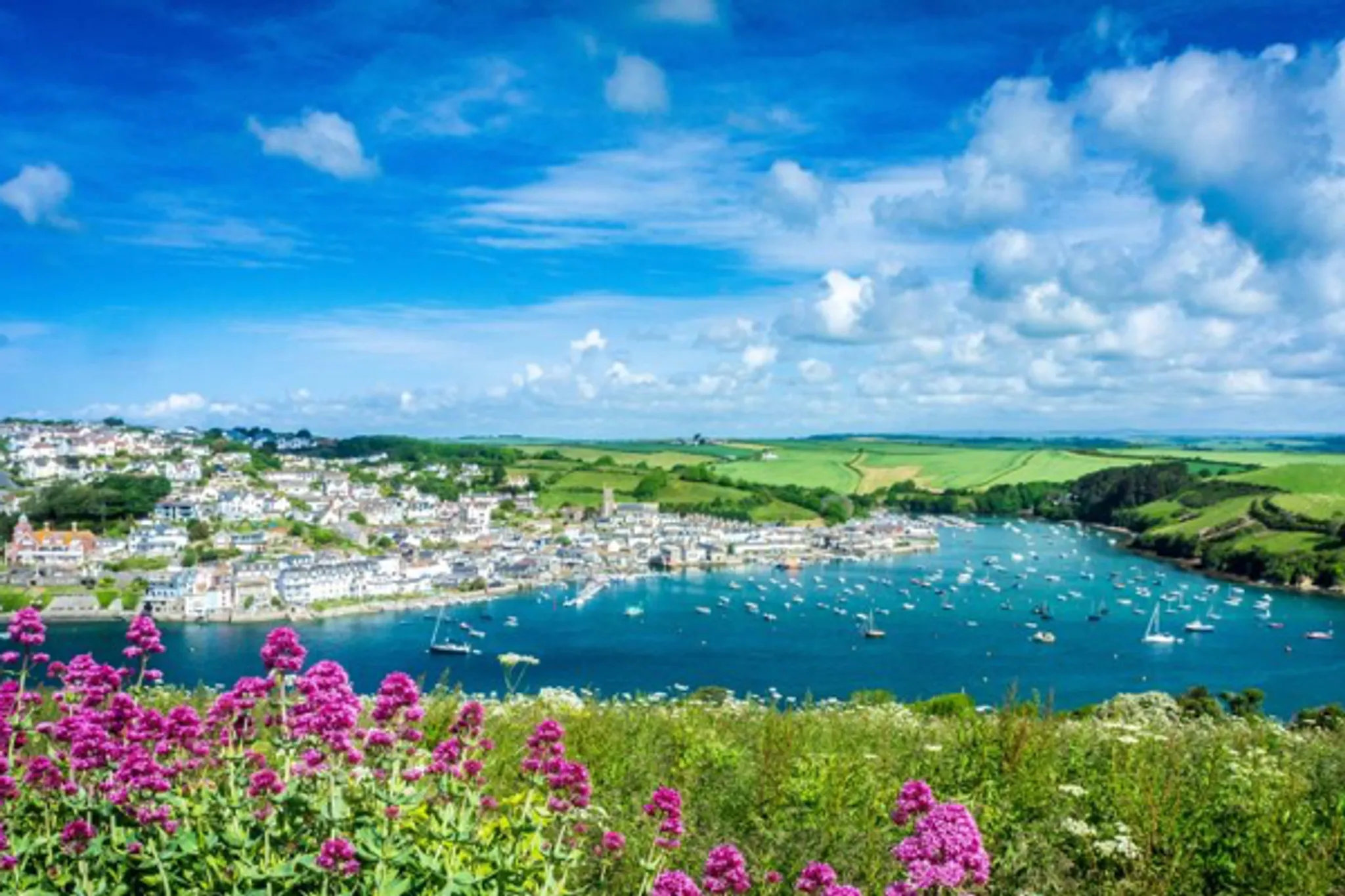 Sail to Salcombe