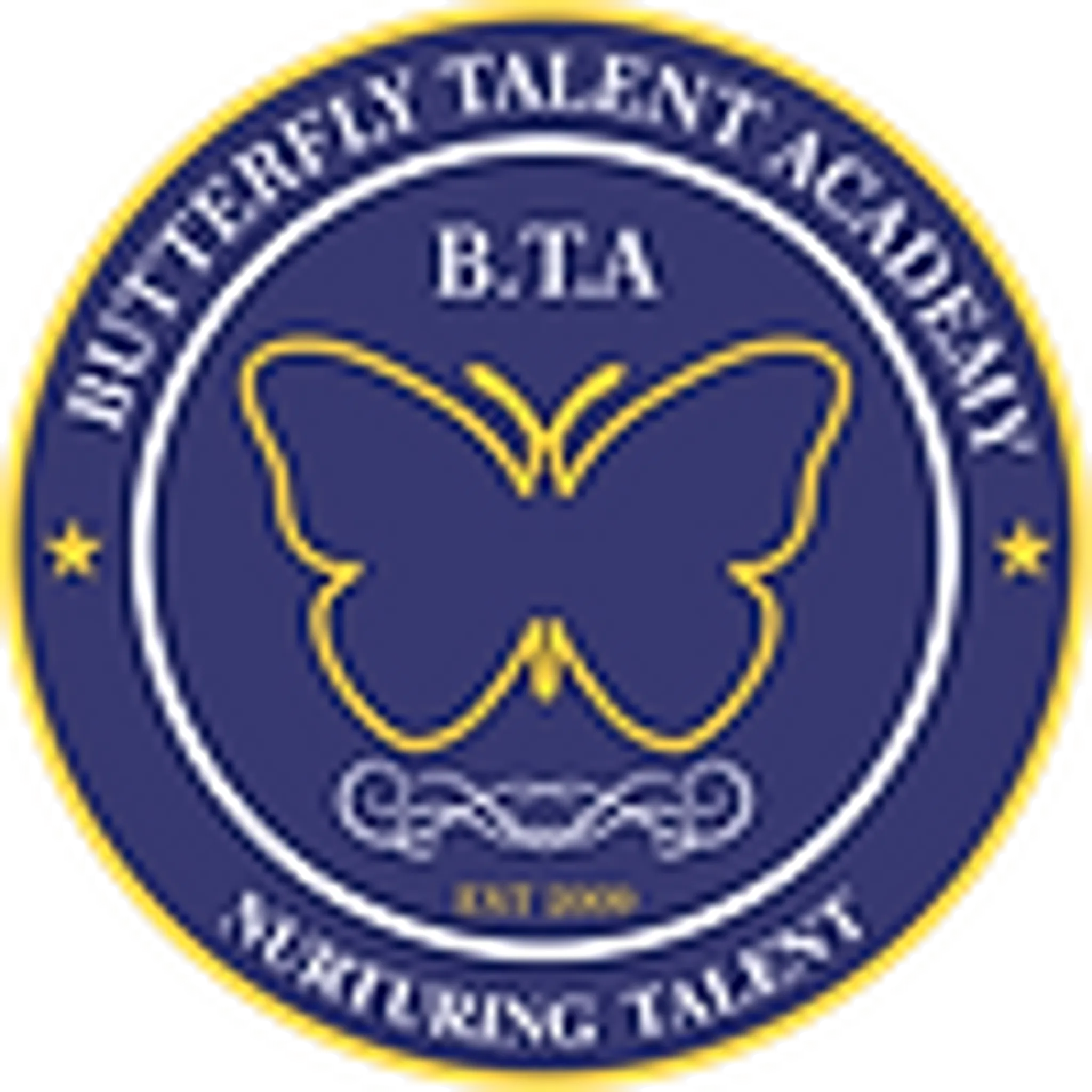 Taekwondo Class in Banaswadi at Butterfy Talent Academy - BTA