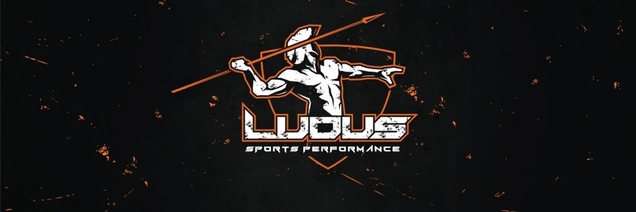 Ludus Sports Performance