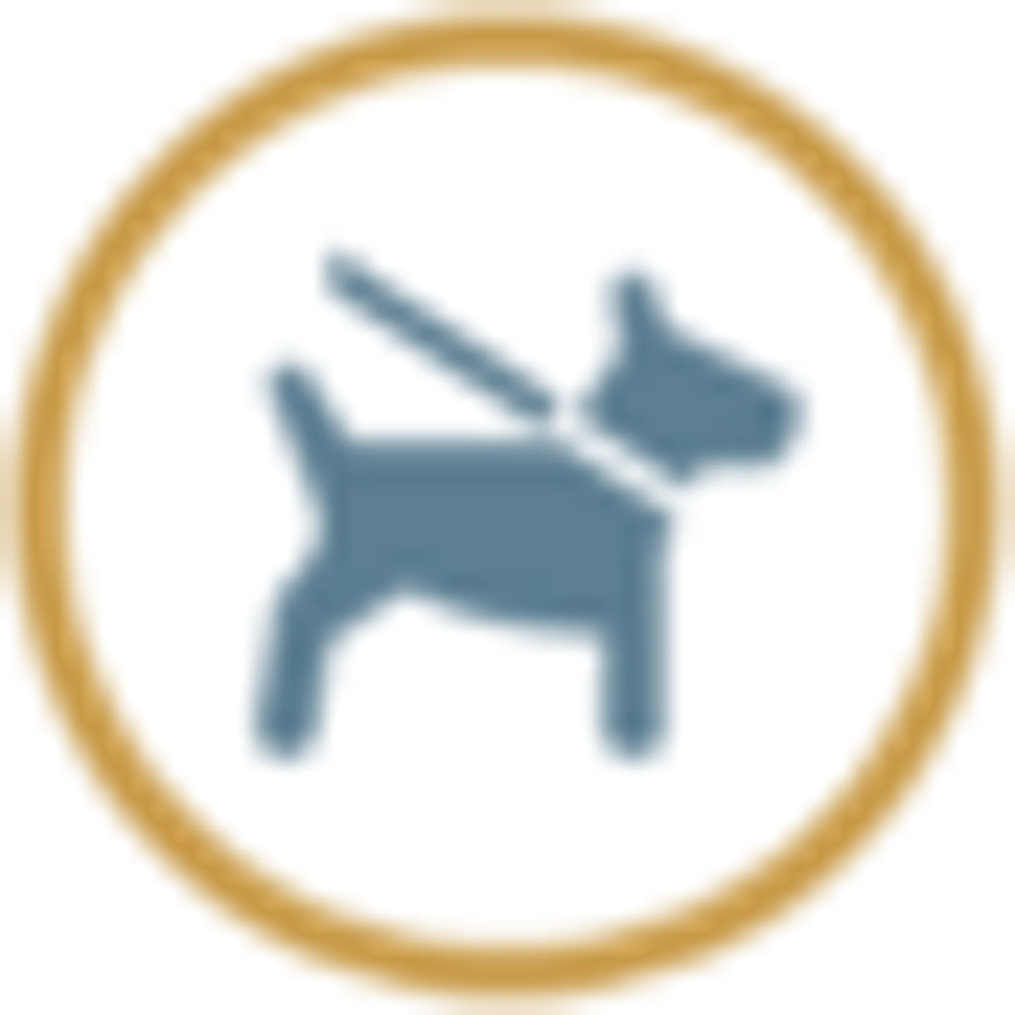 Moody Park Lacrosse Box