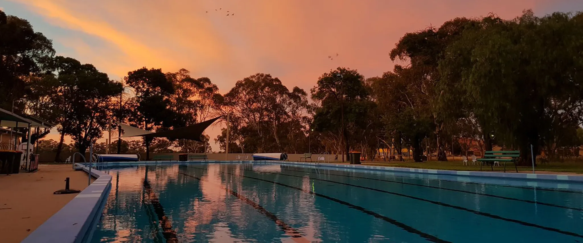 Nuriootpa Swimming Pool