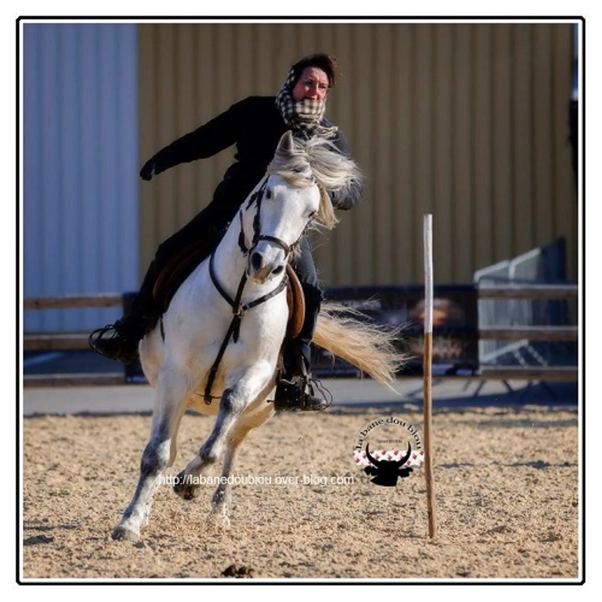 Camargue Riding Recreation En Nièvre