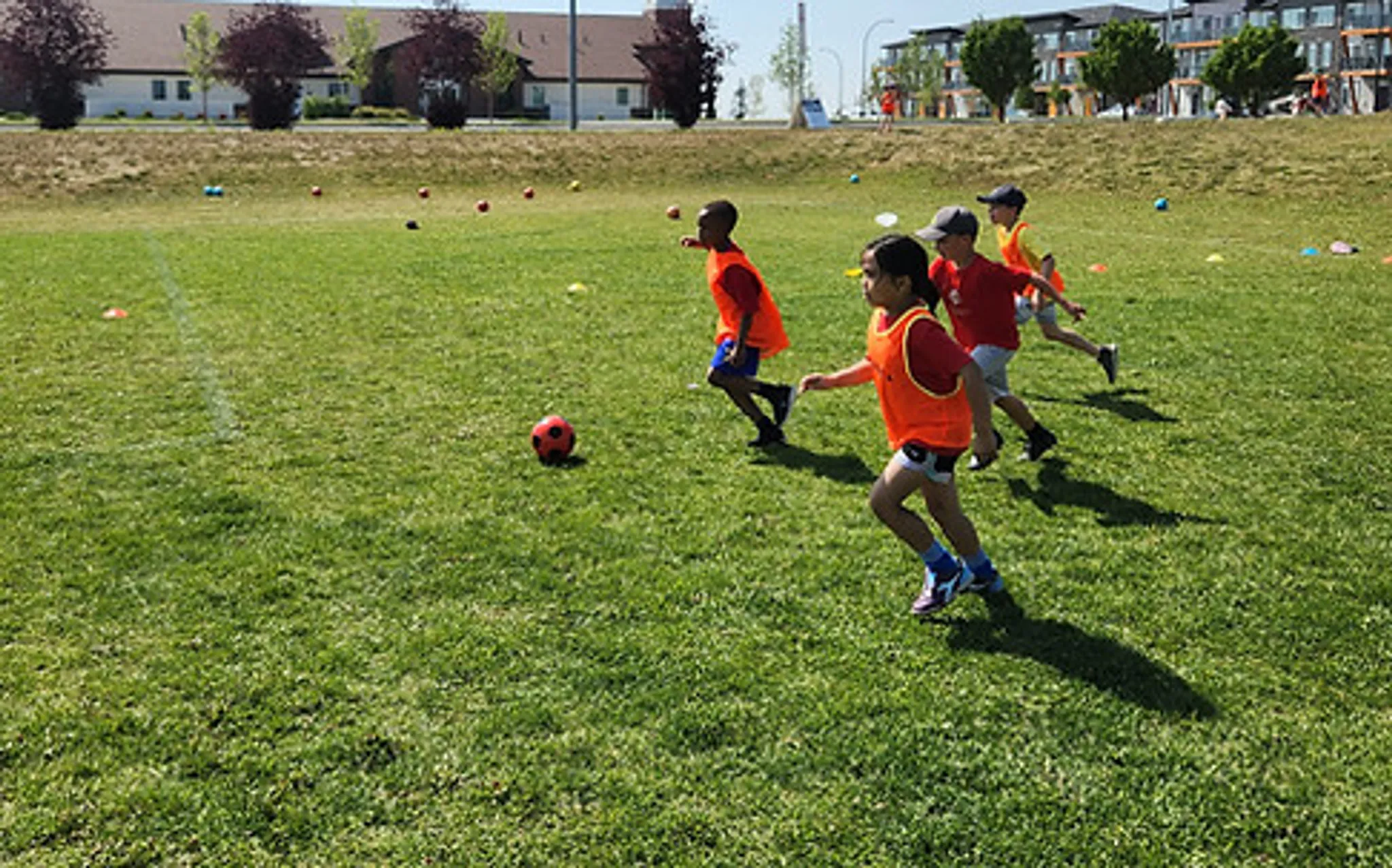 Undefeated Soccer Camp