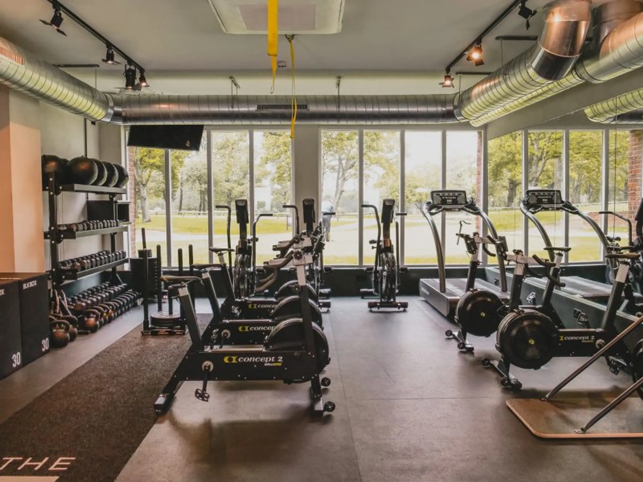 Exclusive New Years Offer