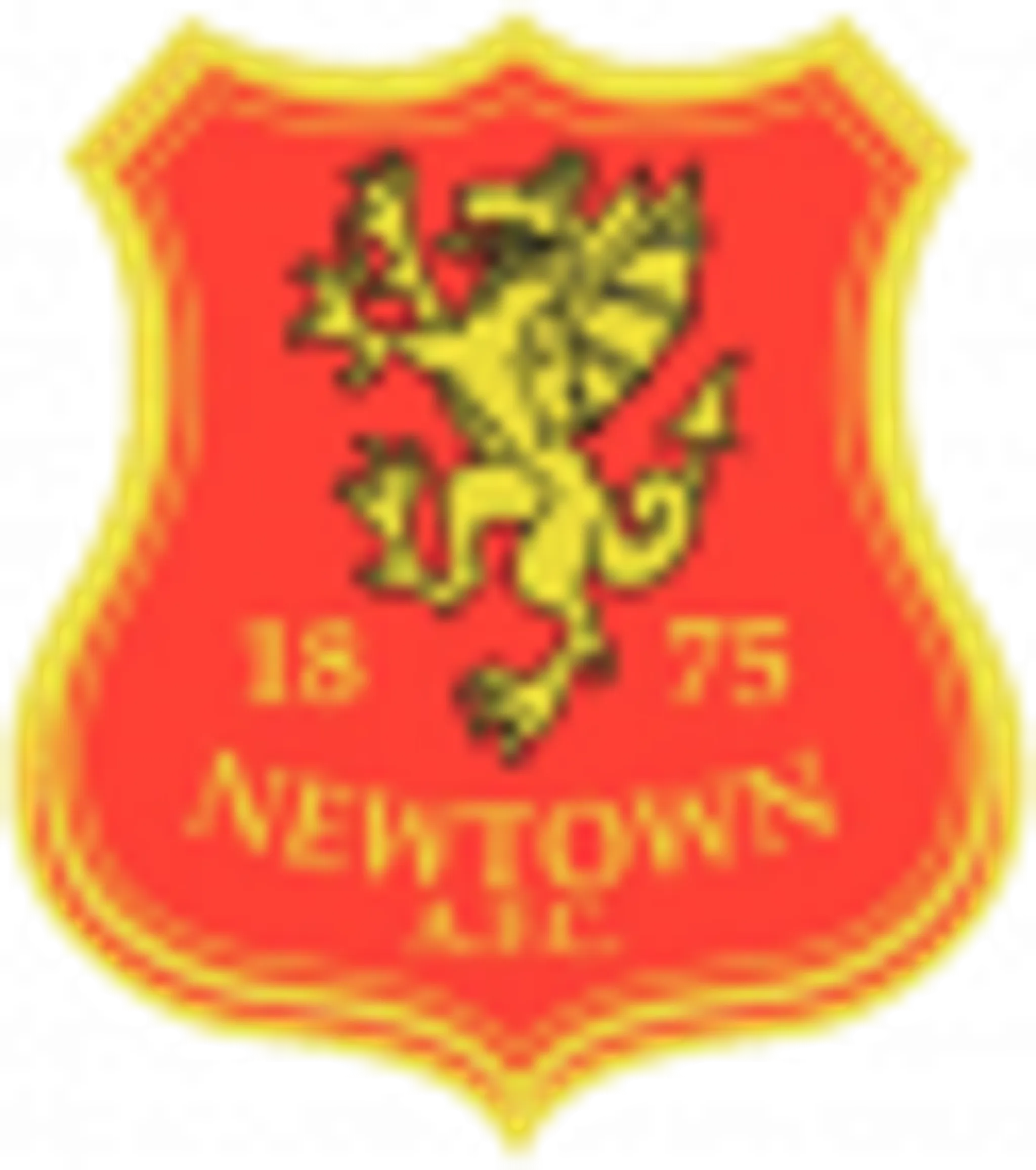 Newtown Association Football Club Ltd