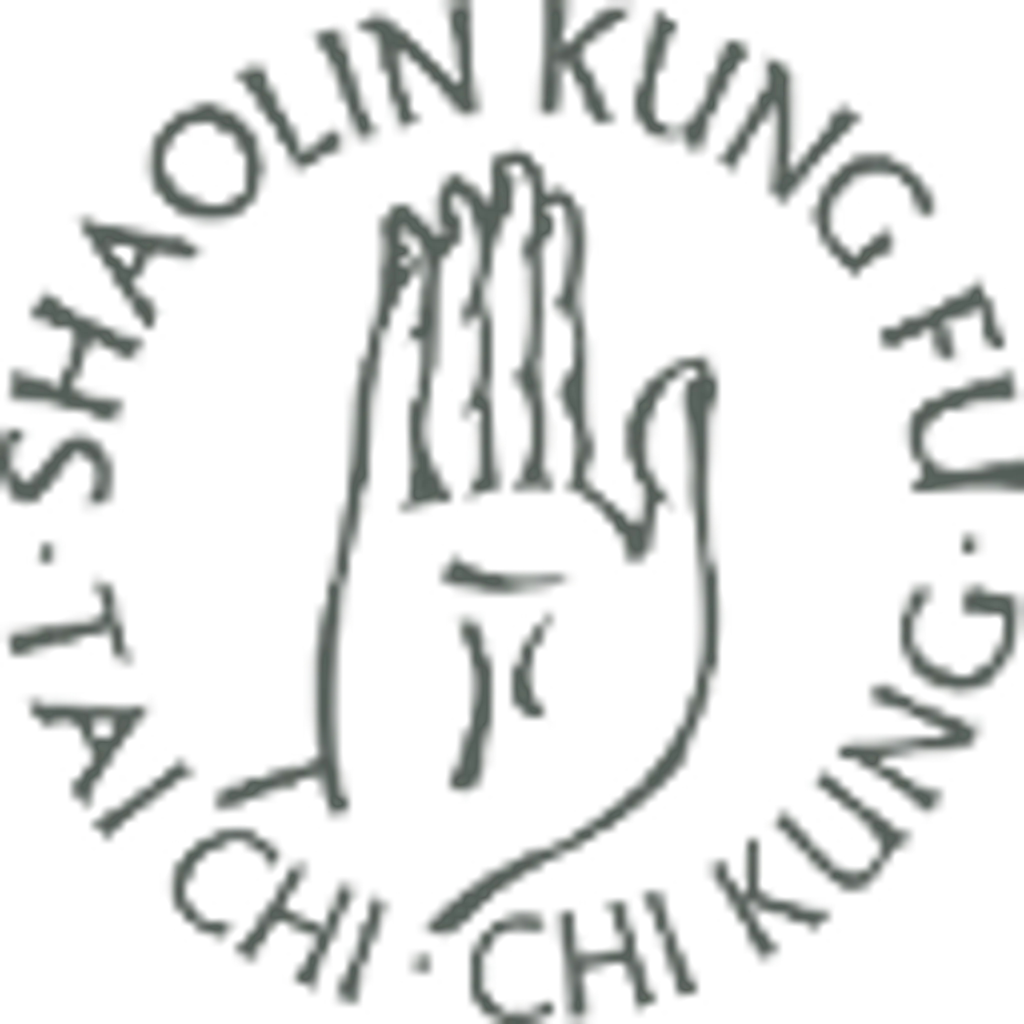 Sung Chuan Kung Fu (New Cross)