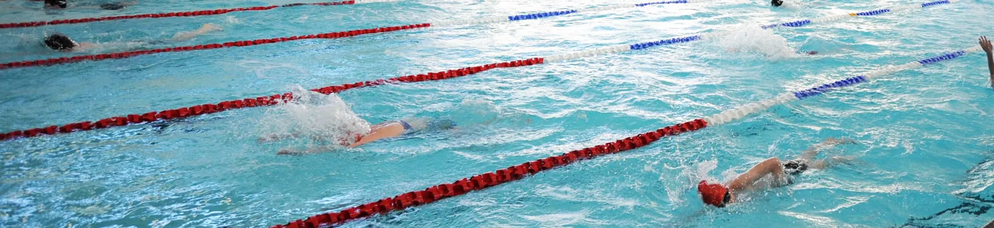 Walking Netball Session