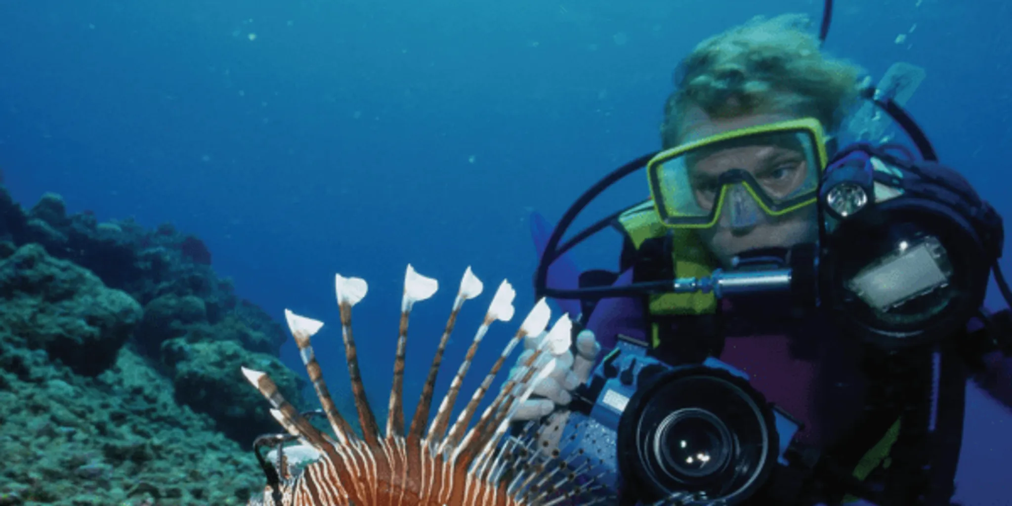 The Welsh Diving Centre