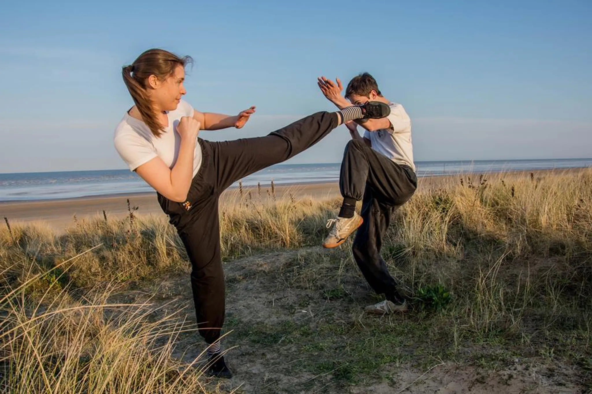 Hung Leng Kuen Free Spirit Fist Federation