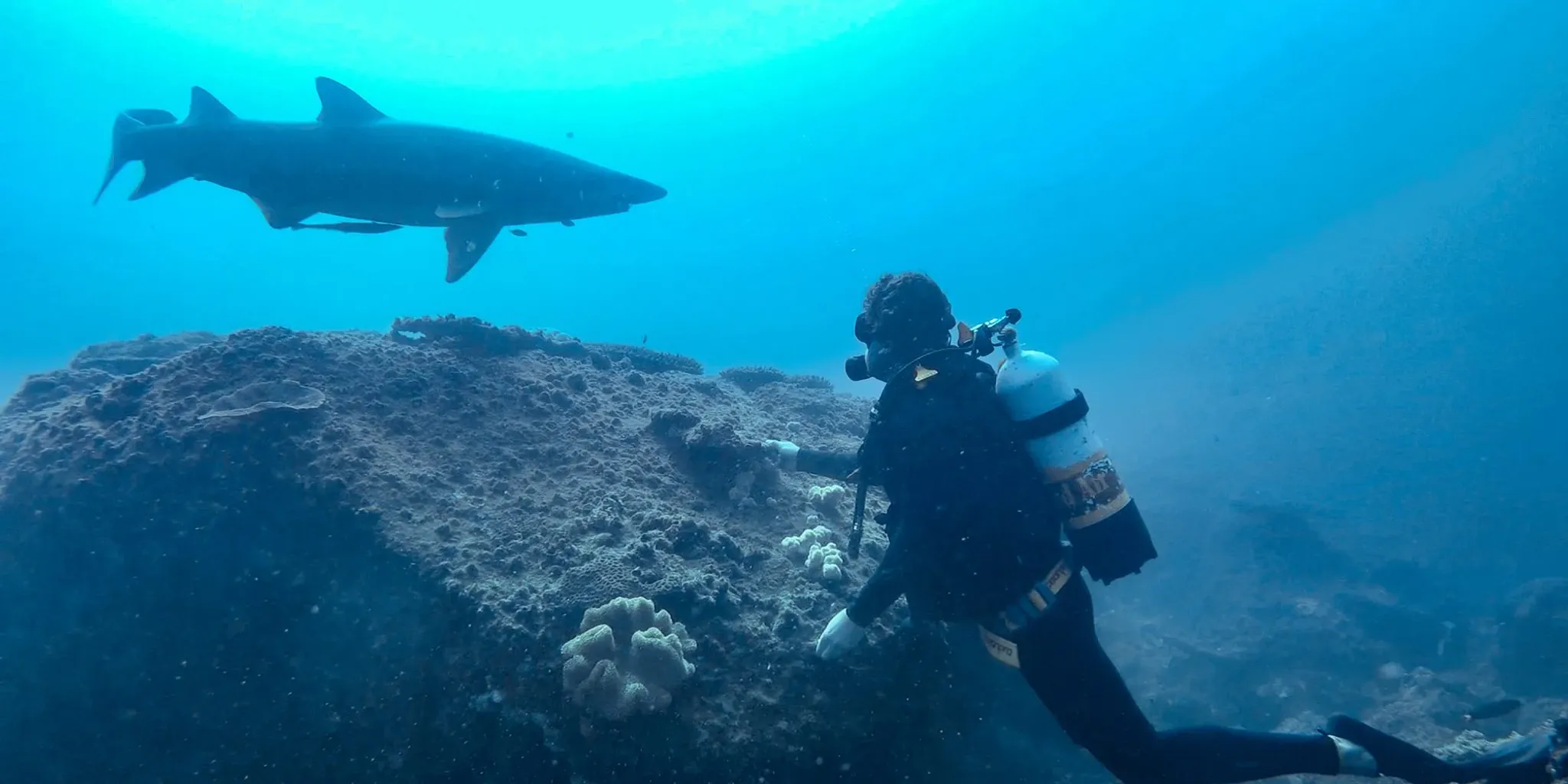 Night Dive on the Reefs with Sunreef