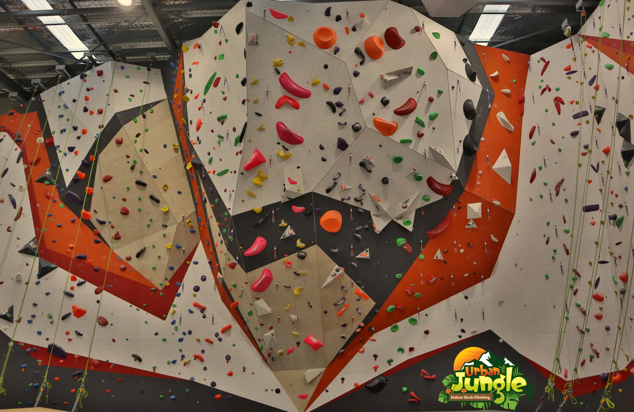 Summer Lead Series 2024